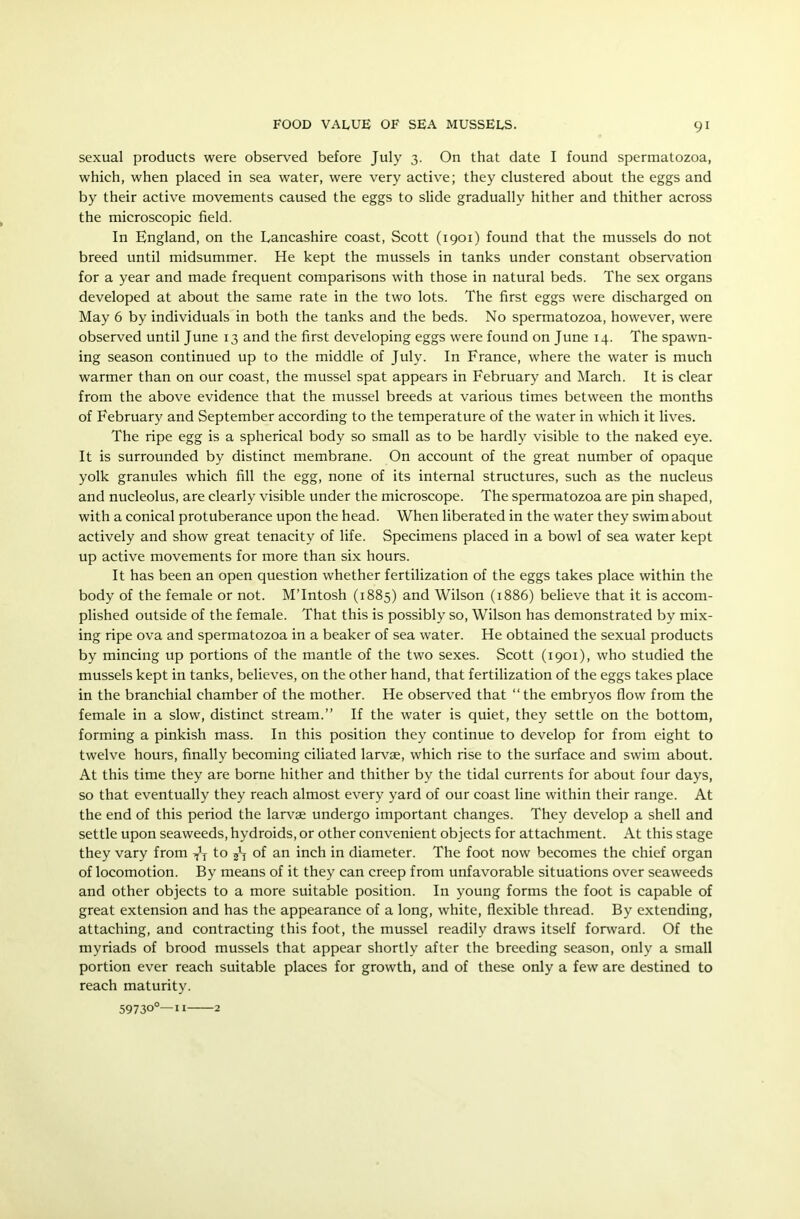 sexual products were observed before July 3. On that date I found spermatozoa, which, when placed in sea water, were very active; they clustered about the eggs and by their active movements caused the eggs to slide gradually hither and thither across the microscopic field. In England, on the Lancashire coast, Scott (1901) found that the mussels do not breed until midsummer. He kept the mussels in tanks under constant observation for a year and made frequent comparisons with those in natural beds. The sex organs developed at about the same rate in the two lots. The first eggs were discharged on May 6 by individuals in both the tanks and the beds. No spermatozoa, however, were observed until June 13 and the first developing eggs were found on June 14. The spawn- ing season continued up to the middle of July. In France, where the water is much warmer than on our coast, the mussel spat appears in February and March. It is clear from the above evidence that the mussel breeds at various times between the months of February and September according to the temperature of the water in which it lives. The ripe egg is a spherical body so small as to be hardly visible to the naked eye. It is surrounded by distinct membrane. On account of the great number of opaque yolk granules which fill the egg, none of its internal structures, such as the nucleus and nucleolus, are clearly visible under the microscope. The spermatozoa are pin shaped, with a conical protuberance upon the head. When liberated in the water they swim about actively and show great tenacity of life. Specimens placed in a bowl of sea water kept up active movements for more than six hours. It has been an open question whether fertilization of the eggs takes place within the body of the female or not. M’lntosh (1885) and Wilson (1886) believe that it is accom- plished outside of the female. That this is possibly so, Wilson has demonstrated by mix- ing ripe ova and spermatozoa in a beaker of sea water. He obtained the sexual products by mincing up portions of the mantle of the two sexes. Scott (1901), who studied the mussels kept in tanks, believes, on the other hand, that fertilization of the eggs takes place in the branchial chamber of the mother. He observed that “ the embryos flow from the female in a slow, distinct stream.” If the water is quiet, they settle on the bottom, forming a pinkish mass. In this position they continue to develop for from eight to twelve hours, finally becoming ciliated larvae, which rise to the surface and swim about. At this time they are borne hither and thither by the tidal currents for about four days, so that eventually they reach almost every yard of our coast line within their range. At the end of this period the larvae undergo important changes. They develop a shell and settle upon seaweeds, hydroids, or other convenient objects for attachment. At this stage they vary from ^ to 57 of an inch in diameter. The foot now becomes the chief organ of locomotion. By means of it they can creep from unfavorable situations over seaweeds and other objects to a more suitable position. In young forms the foot is capable of great extension and has the appearance of a long, white, flexible thread. By extending, attaching, and contracting this foot, the mussel readily draws itself forward. Of the myriads of brood mussels that appear shortly after the breeding season, only a small portion ever reach suitable places for growth, and of these only a few are destined to reach maturity. 5973° —11 2