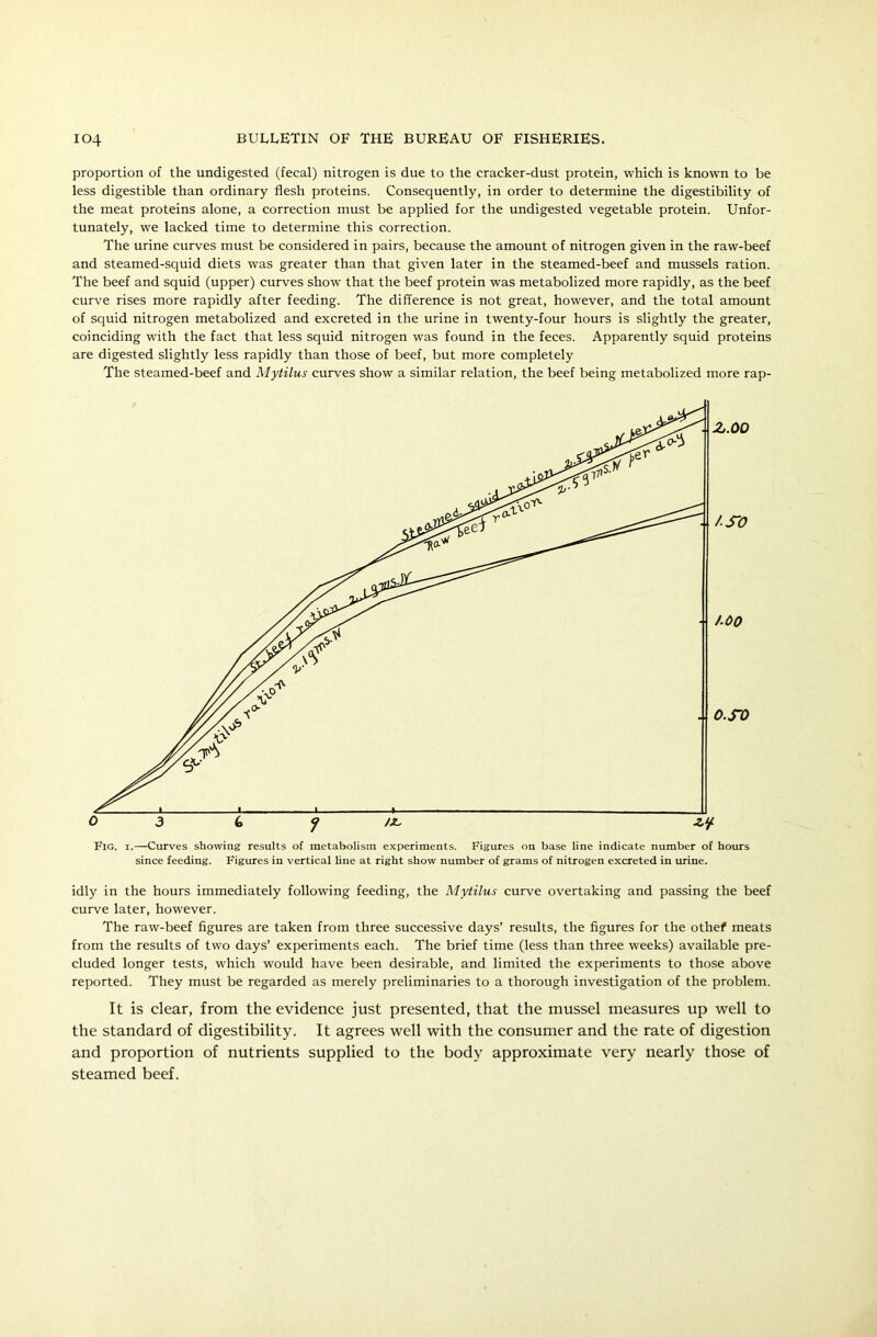 proportion of the undigested (fecal) nitrogen is due to the cracker-dust protein, which is known to be less digestible than ordinary flesh proteins. Consequently, in order to determine the digestibility of the meat proteins alone, a correction must be applied for the undigested vegetable protein. Unfor- tunately, we lacked time to determine this correction. The urine curves must be considered in pairs, because the amount of nitrogen given in the raw-beef and steamed-squid diets was greater than that given later in the steamed-beef and mussels ration. The beef and squid (upper) curves show that the beef protein was metabolized more rapidly, as the beef curve rises more rapidly after feeding. The difference is not great, however, and the total amount of squid nitrogen metabolized and excreted in the urine in twenty-four hours is slightly the greater, coinciding with the fact that less squid nitrogen was found in the feces. Apparently squid proteins are digested slightly less rapidly than those of beef, but more completely The steamed-beef and Mytilus curves show a similar relation, the beef being metabolized more rap- Fig. i.—Curves showing results of metabolism experiments. Figures on base line indicate number of hours since feeding. Figures in vertical line at right show number of grams of nitrogen excreted in urine. idly in the hours immediately following feeding, the Mytilus curve overtaking and passing the beef curve later, however. The raw-beef figures are taken from three successive days’ results, the figures for the othef meats from the results of two days’ experiments each. The brief time (less than three weeks) available pre- cluded longer tests, which would have been desirable, and limited the experiments to those above reported. They must be regarded as merely preliminaries to a thorough investigation of the problem. It is clear, from the evidence just presented, that the mussel measures up well to the standard of digestibility. It agrees well with the consumer and the rate of digestion and proportion of nutrients supplied to the body approximate very nearly those of steamed beef.