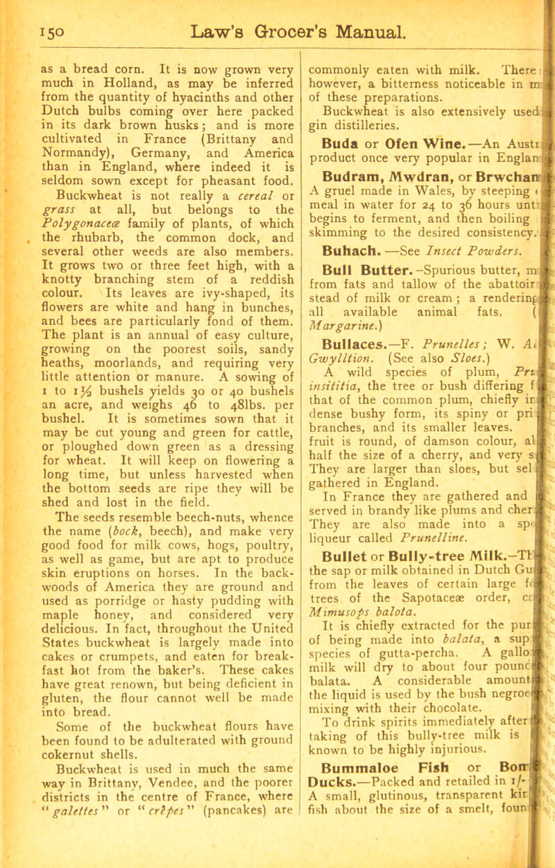as a bread corn. It is now grown very much in Holland, as may be inferred from the quantity of hyacinths and other Dutch bulbs coming over here packed in its dark brown husks; and is more cultivated in France (Brittany and Normandy), Germany, and America than in England, where indeed it is seldom sown except for pheasant food. Buckwheat is not really a cereal or grass at all, but belongs to the Polygonacea: family of plants, of which , the rhubarb, the common dock, and several other weeds are also members. It grows two or three feet high, with a knotty branching stem of a reddish colour. Its leaves are ivy-shaped, its flowers are white and hang in bunches, and bees are particularly fond of them. The plant is an annual of easy culture, growing on the poorest soils, sandy heaths, moorlands, and requiring very little attention or manure. A sowing of i to i Yt bushels yields 30 or 40 bushels an acre, and weighs 46 to 481bs. per bushel. It is sometimes sown that it may be cut young and green for cattle, or ploughed down green as a dressing for wheat. It will keep on flowering a long time, but unless harvested when the bottom seeds are ripe they will be shed and lost in the field. The seeds resemble beech-nuts, whence the name (bock, beech), and make very good food for milk cows, hogs, poultry, as well as game, but are apt to produce skin eruptions on horses. In the back- woods of America they are ground and used as porridge or hasty pudding with maple honey, and considered very delicious. In fact, throughout the United States buckwheat is largely made into cakes or crumpets, and eaten for break- fast hot from the baker’s. These cakes have great renown, but being deficient in gluten, the flour cannot well be made into bread. Some of the buckwheat flours have been found to be adulterated with ground cokernut shells. Buckwheat is used in much the same way in Brittany, Vendee, and the poorer districts in the centre of France, where “ gaieties ” or “ crlpes ” (pancakes) are commonly eaten with milk. There however, a bitterness noticeable in m of these preparations. Buckwheat is also extensively used gin distilleries. Buda or Ofen Wine.—An Austi product once very popular in Englan j Budram, Mwdran, or Brwchan A gruel made in Wales, by steeping meal in water for 24 to 36 hours until begins to ferment, and then boiling skimming to the desired consistency Buhach. —See Insect Powders. I Bull Butter.-Spurious butter, m l from fats and tallow of the abattoir | stead of milk or cream ; a renderinj all available animal fats. Margarine.) Bullaces.—F. Prunelles ; W. Gwylltion. (See also Sloes.) A wild species of plum, Pn\ insititia, the tree or bush differing f that of the common plum, chiefly irB dense bushy form, its spiny or pri J branches, and its smaller leaves, fruit is round, of damson colour, all half the size of a cherry, and very si They are larger than sloes, but sel 9 gathered in England. In France they are gathered and I served in brandy like plums and cherl They are also made into a sp'B liqueur called Prunelline. Bullet or Bully-tree Milk.-TI the sap or milk obtained in Dutch Gu from the leaves of certain large trees of the Sapotaceae order, Mimusops balota. It is chiefly extracted for the pur of being made into balata, a sup species of gutta-percha. A gallo milk will dry to about four pound' balata. A considerable amount the liquid is used by the bush negroeB mixing with their chocolate. To drink spirits immediately after# taking of this bully-tree milk is 1 known to be highly injurious. Bummaloe Fish or Boir Ducks.—Packed and retailed in iM A small, glutinous, transparent kirf fish about the size of a smelt, founii I