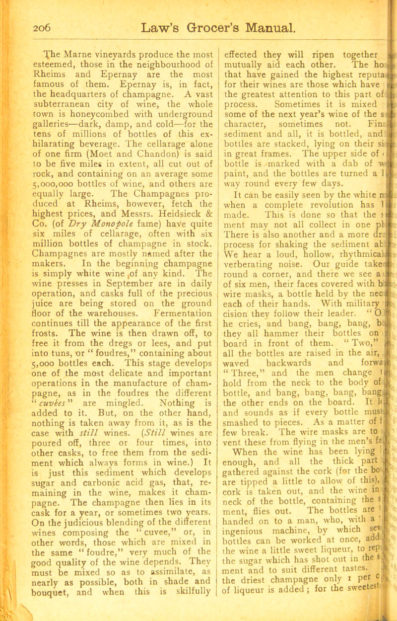 T^he Marne vineyards produce the most esteemed, those in the neighbourhood of Rheims and Epernay are the most famous of them. Epernay is, in fact, the headquarters of champagne. A vast subterranean city of wine, the whole town is honeycombed with underground galleries—dark, damp, and cold—for the tens of millions of bottles of this ex- hilarating beverage. The cellarage alone of one firm (Moet and Chandon) is said to be five miles in extent, all cut out of rock, and containing on an average some 5,000,000 bottles of wine, and others are equally large. The Champagnes pro- duced at Rheims, however, fetch the highest prices, and Messrs. Heidsieck & Co. (of Dry Monopole fame) have quite six miles of cellarage, often with six million bottles of champagne in stock. Champagnes are mostly named after the makers. In the beginning champagne is simply white wine ,of any kind. The wine presses in September are in daily operation, and casks full of the precious juice are being stored on the ground floor of the warehouses. Fermentation continues till the appearance of the first frosts. The wine is then drawn off, to free it from the dregs or lees, and put into tuns, or “ foudres,” containing about 5,000 bottles each. This stage develops one of the most delicate and important operations in the manufacture of cham- pagne, as in the foudres the different “cuvees” are mingled. Nothing is added to it. But, on the other hand, nothing is taken away from it, as is the case with still wines. (Still wines are poured off, three or four times, into other casks, to free them from the sedi- ment which always forms in wine.) It is just this sediment which develops sugar and carbonic acid gas, that, re- maining in the wine, makes it cham- pagne. The champagne then lies in its cask for a year, or sometimes two years. On the judicious blending of the different wines composing the “ cuvee,” or, in other words, those which are mixed in the same “ foudre,” very much of the good quality of the wine depends. They must be mixed so as to assimilate, as nearly as possible, both in shade and bouquet, and when this is skilfully effected they will ripen together mutually aid each other. The ho ft that have gained the highest reputaA for their wines are those which have < the greatest attention to this part of'S process. Sometimes it is mixed K some of the next year’s wine of the sft character, sometimes not. FinrB sediment and all, it is bottled, and: i bottles are stacked, lying on their siS in great frames. The upper side of 1 H bottle is marked with a dab of w | paint, and the bottles are turned a !■ way round every few days. It can be easily seen by the white nl: when a complete revolution has 111 made. This is done so that the tB ment may not all collect in one pi ■. There is also another and a more dr;*: process for shaking the sediment ab II: We hear a loud, hollow, rhythmical! verberating noise. Our guide take k round a corner, and there we see a i of six men, their faces covered with b sr wire masks, a bottle held by the necjt each of their hands. With military U cision they follow their leader. “ 0 I he cries, and bang, bang, bang, b:| they all hammer their bottles on & board in front of them. “ Two,” K. all the bottles are raised in the air, it waved backwards and forwaft “Three,” and the men change tjp hold from the neck to the body of Ij bottle, and bang, bang, bang, bang A the other ends on the board. It liJ, and sounds as if every bottle must4 smashed to pieces. As a matter of 111 few break. The wire masks are to J; vent these from flying in the men’s fa ft When the wine has been lying Ifi: enough, and all the thick part I t gathered against the cork (for the bo,l are tipped a little to allow of this), cork is taken out, and the wine iojl neck of the bottle, containing the Sii ment, flies out. The bottles are 1 | handed on to a man, who, with a ', | ingenious machine, by which sev bottles can be worked at once, adaB< the wine a little sweet liqueur, to repll the sugar which has shot out in the sA ment and to suit different tastes. A the driest champagne only 1 per c ft of liqueur is added; for the sweetes a