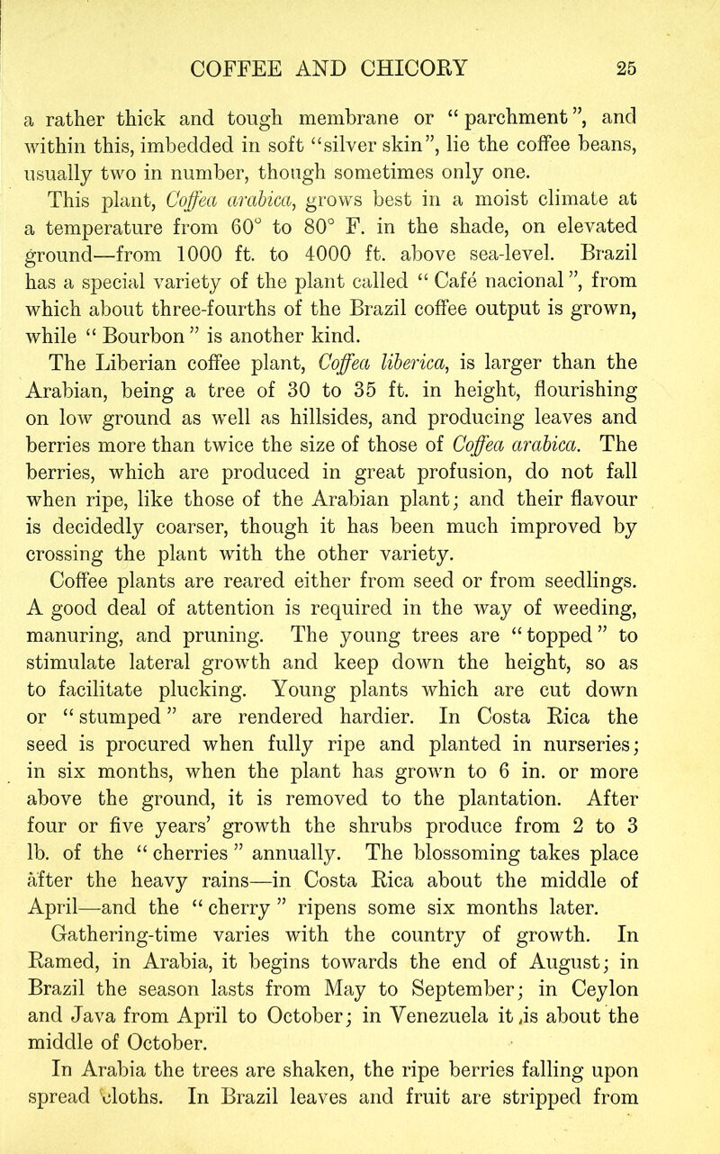 a rather thick and tough membrane or “ parchment ”, and within this, imbedded in soft “silver skin”, lie the coffee beans, usually two in number, though sometimes only one. This plant, Coffea arabica, grows best in a moist climate at a temperature from 60“ to 80° F. in the shade, on elevated ground—from 1000 ft, to 4000 ft, above sea-level. Brazil has a special variety of the plant called “ Cafe nacional ”, from which about three-fourths of the Brazil coffee output is grown, while “ Bourbon” is another kind. The Liberian coffee plant, Coffea liberica, is larger than the Arabian, being a tree of 30 to 35 ft. in height, flourishing on low ground as well as hillsides, and producing leaves and berries more than twice the size of those of Coffea arabica. The berries, which are produced in great profusion, do not fall when ripe, like those of the Arabian plant; and their flavour is decidedly coarser, though it has been much improved by crossing the plant with the other variety. Coffee plants are reared either from seed or from seedlings. A good deal of attention is required in the way of weeding, manuring, and pruning. The young trees are “topped” to stimulate lateral growth and keep down the height, so as to facilitate plucking. Young plants which are cut down or “ stumped ” are rendered hardier. In Costa Eica the seed is procured when fully ripe and planted in nurseries; in six months, when the plant has grown to 6 in. or more above the ground, it is removed to the plantation. After four or five years’ growth the shrubs produce from 2 to 3 lb. of the “ cherries ” annually. The blossoming takes place after the heavy rains—in Costa Eica about the middle of April—and the “ cherry ” ripens some six months later. Gathering-time varies with the country of growth. In Earned, in Arabia, it begins towards the end of August; in Brazil the season lasts from May to September; in Ceylon and Java from April to October; in Venezuela it js about the middle of October. In Arabia the trees are shaken, the ripe berries falling upon spread 'cloths. In Brazil leaves and fruit are stripped from