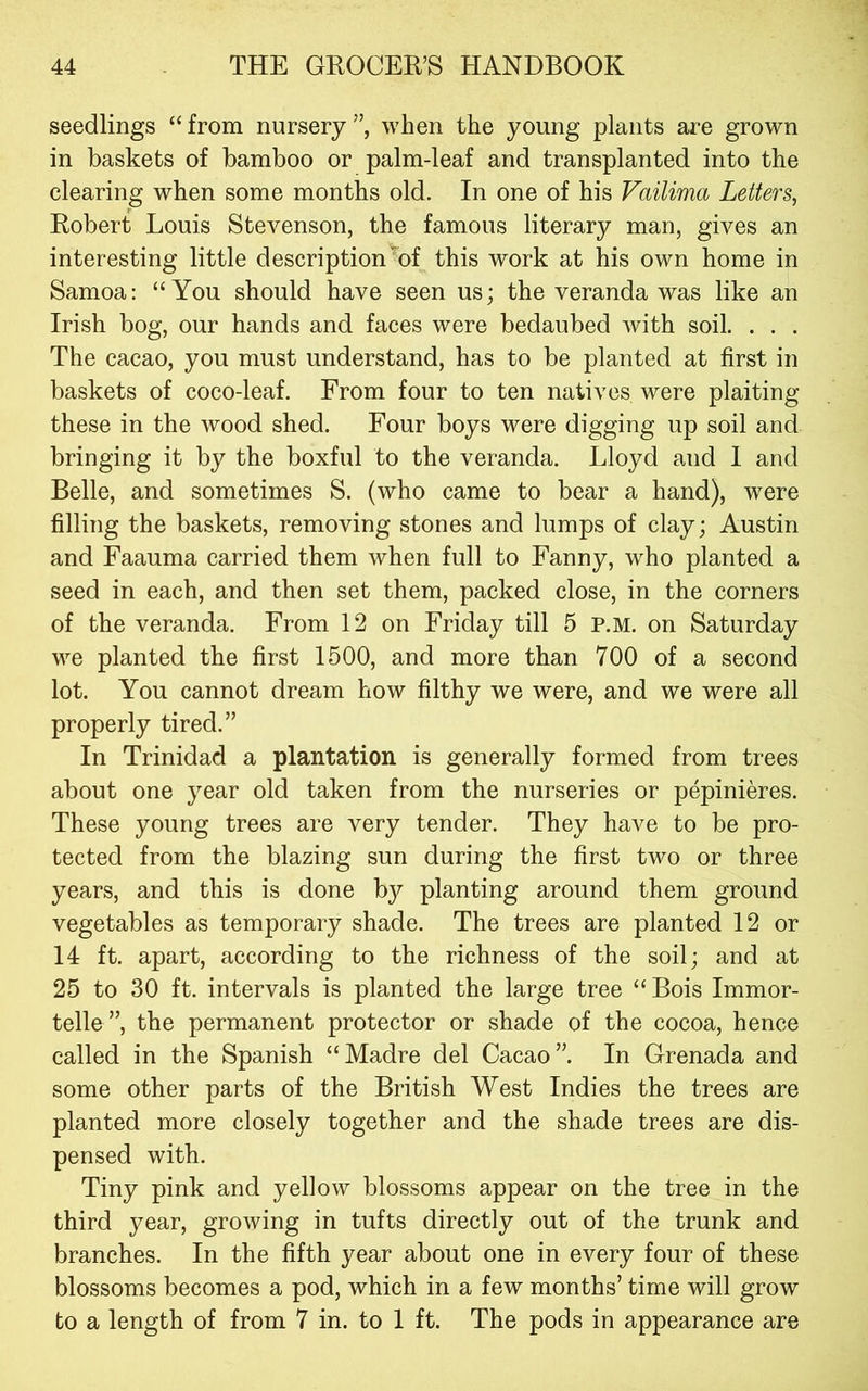 seedlings “from nursery”, when the young plants are grown in baskets of bamboo or palm-leaf and transplanted into the clearing when some months old. In one of his Vailima Letters, Robert Louis Stevenson, the famous literary man, gives an interesting little description'^of this work at his own home in Samoa; “You should have seen us; the veranda was like an Irish bog, our hands and faces were bedaubed with soil. . . . The cacao, you must understand, has to be planted at first in baskets of coco-leaf. From four to ten natives were plaiting these in the wood shed. Four boys were digging up soil and bringing it by the boxful to the veranda. Lloyd and I and Belle, and sometimes S. (who came to bear a hand), were filling the baskets, removing stones and lumps of clay; Austin and Faauma carried them when full to Fanny, who planted a seed in each, and then set them, packed close, in the corners of the veranda. From 12 on Friday till 5 p.m. on Saturday we planted the first 1500, and more than 700 of a second lot. You cannot dream how filthy we were, and we were all properly tired.” In Trinidad a plantation is generally formed from trees about one year old taken from the nurseries or pepinieres. These young trees are very tender. They have to be pro- tected from the blazing sun during the first two or three years, and this is done by planting around them ground vegetables as temporary shade. The trees are planted 12 or 14 ft. apart, according to the richness of the soil; and at 25 to 30 ft. intervals is planted the large tree “ Bois Immor- telle”, the permanent protector or shade of the cocoa, hence called in the Spanish “Madre del Cacao”. In Grenada and some other parts of the British West Indies the trees are planted more closely together and the shade trees are dis- pensed with. Tiny pink and yellow blossoms appear on the tree in the third year, growing in tufts directly out of the trunk and branches. In the fifth year about one in every four of these blossoms becomes a pod, which in a few months’ time will grow to a length of from 7 in. to 1 ft. The pods in appearance are