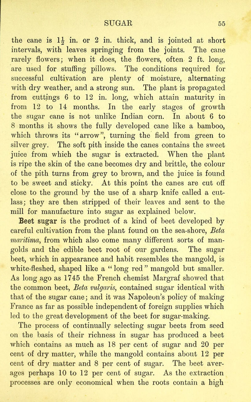 the cane is IJ in. or 2 in. thick, and is jointed at short intervals, with leaves springing from the joints. The cane rarely flow^ers; when it does, the flowers, often 2 ft. long, are used for stuffing pillows. The conditions required for successful cultivation are plenty of moisture, alternating with dry weather, and a strong sun. The plant is propagated from cuttings 6 to 12 in. long, which attain maturity in from 12 to 14 months. In the early stages of growth the sugar cane is not unlike Indian corn. In about 6 to 8 months it shows the fully developed cane like a bamboo, which throws its “arrow”, turning the field from green to silver grey. The soft pith inside the canes contains the sweet juice from which the sugar is extracted. When the plant is ripe the skin of the cane becomes dry and brittle, the colour of the pith turns from grey to brown, and the juice is found to be sweet and sticky. At this point the canes are cut off close to the ground by the use of a sharp knife called a cut- lass; they are then stripped of their leaves and sent to the mill for manufacture into sugar as explained below. Beet sugar is the product of a kind of beet developed by careful cultivation from the plant found on the sea-shore. Beta maritima, from which also come many different sorts of man- golds and the edible beet root of our gardens. The sugar beet, which in appearance and habit resembles the mangold, is white-fleshed, shaped like a “ long red ” mangold but smaller. As long ago as 1745 the French chemist Margraf showed that the common beet. Beta vulgaris, contained sugar identical with that of the sugar cane; and it was Napoleon’s policy of making France as far as possible independent of foreign supplies which led to the great development of the beet for sugar-making. The process of continually selecting sugar beets from seed on the basis of their richness in sugar has produced a beet which contains as much as 18 per cent of sugar and 20 per cent of dry matter, while the mangold contains about 12 per cent of dry matter and 8 per cent of sugar. The beet aver- ages perhaps 10 to 12 per cent of sugar. As the extraction processes are only economical when the roots contain a high