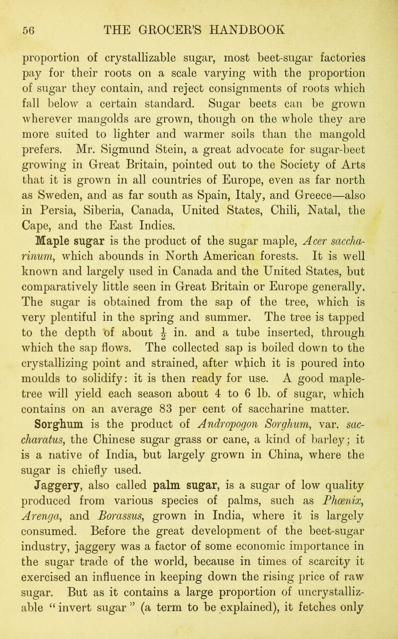 proportion of crystallizable sugar, most beet-sugar factories pay for their roots on a scale varying with the proportion of sugar they contain, and reject consignments of roots which fall below a certain standard. Sugar beets can be grown wherever mangolds are grown, though on the whole they are more suited to lighter and warmer soils than the mangold prefers. Mr. Sigmund Stein, a great advocate for sugar-beet growing in Great Britain, pointed out to the Society of Arts that it is grown in all countries of Europe, even as far north as Sweden, and as far south as Spain, Italy, and Greece—also in Persia, Siberia, Canada, United States, Chili, Natal, the Cape, and the East Indies. Maple sugar is the product of the sugar maple, Acer saccha- rinum, which abounds in North American forests. It is well known and largely used in Canada and the United States, but comparatively little seen in Great Britain or Europe generally. The sugar is obtained from the sap of the tree, which is very plentiful in the spring and summer. The tree is tapped to the depth *of about J in. and a tube inserted, through which the sap flows. The collected sap is boiled down to the crystallizing point and strained, after wjiich it is poured into moulds to solidify: it is then ready for use. A good maple- tree will yield each season about 4 to 6 lb. of sugar, which contains on an average 83 per cent of saccharine matter. Sorghum is the product of Andropogon Sorghum, var. sac- charatus, the Chinese sugar grass or cane, a kind of barley; it is a native of India, but largely grown in China, where the sugar is chiefly used. Jaggery, also called palm sugar, is a sugar of low quality produced from various species of palms, such as Phoenix, Arenga, and Borassus, grown in India, where it is largely consumed. Before the great development of the beet-sugar industry, jaggery was a factor of some economic importance in the sugar trade of the world, because in times of scarcity it exercised an influence in keeping down the rising price of raw sugar. But as it contains a large proportion of uncrystalliz- able “ invert sugar ” (a term to be explained), it fetches only