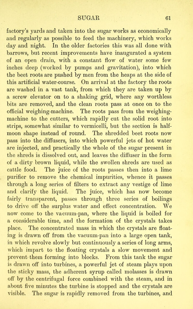 factory’s yards and taken into the sugar works as economically and regularly as possible to feed the machinery, which works day and night. In the older factories this was all done with barrows, but reeent improvements have inaugurated a system of an open drain, with a constant flow of water some few inches deep (worked by pumps and gravitation), into which the beet roots are pushed by men from the heaps at the side of this artificial water-course. On arrival at the factory the roots are washed in a vast tank, from which they are taken up by a screw elevator on to a shaking grid, where any worthless bits are removed, and the clean roots pass at once on to the official weighing-machine. The roots pass from the weighing- machine to the cutters, which rapidly cut the solid root into strips, somewhat similar to vermicelli, but the section is half- moon shape instead of round. The shredded beet roots now pass into the diffusers, into which powerful jets of hot water are injected, and practically the whole of the sugar present in the shreds is dissolved out, and leaves the diffuser in the form of a dirty brown liquid, while the swollen shreds are used as cattle food. The juice of the roots passes then into a lime purifier to remove the chemical impurities, whence it passes through a long series of filters to extract any vestige of lime and clarify the liquid. The juice, which has now become fairly ti*ansparent, passes through three series of boilings to drive off the surplus water and effect concentration. We now come to the vacuum-pan, where the liquid is boiled for a considerable time, and the formation of the crystals takes place. The concentrated mass in which the crystals are float- ing is drawn off from the vacuum-pan into a large open tank, in which revolve slowly but continuously a series of long arms, which impart to the floating crystals a slow movement and prevent them forming into blocks. From this tank the sugar is drawn off into turbines, a powerful jet of steam plays upon the sticky mass, the adherent syrup called molasses is drawn off by the centrifugal force combined with the steam, and in about five minutes the turbine is stopped and the crystals are visible. The sugar is rapidly removed from the turbines, and