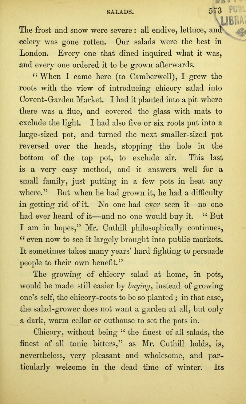 VUB Tlie frost and snow were severe : all endive, lettuce, and celery was gone rotten. Our salads were the best in London. Every one that dined inquired what it was, and every one ordered it to be grown afterwards. u When I came here (to Camberwell), I grew the roots with the view of introducing chicory salad into Covent-Garden Market. I had it planted into a pit where there was a flue, and covered the glass with mats to exclude the light. I had also five or six roots put into a large-sized pot, and turned the next smaller-sized pot reversed over the heads, stopping the hole in the bottom of the top pot, to exclude air. This last is a very easy method, and it answers well for a small family, just putting in a few pots in heat any where.” But when he had grown it, he had a difficulty in getting rid of it. No one had ever seen it—no one had ever heard of it—and no one would buy it. u But I am in hopes,” Mr. Cuthill philosophically continues, II even now to see it largely brought into public markets. It sometimes takes many years’ hard fighting to persuade people to their own benefit.” The growing of chicory salad at home, in pots, would be made still easier by buying, instead of growing one’s self, the chicory-roots to be so planted ; in that case, the salad-grower does not want a garden at all, but only a dark, warm cellar or outhouse to set the pots in. Chicory, without being “ the finest of all salads, the finest of all tonic bitters,” as Mr. Cuthill holds, is, nevertheless, very pleasant and wholesome, and par- ticularly welcome in the dead time of winter. Its