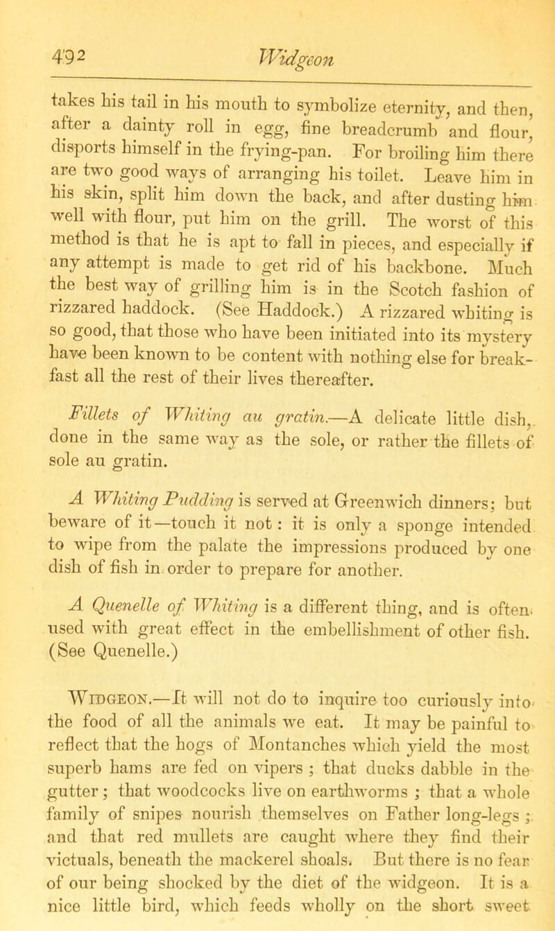 takes kis tail in his mouth to symbolize eternity, and then, after a dainty roll in egg, fine breadcrumb and flour, disports himself in the frying-pan. For broiling him there are two good ways of arranging his toilet. Leave him in his skin, split him down the back, and after dusting him well with flour, put him on the grill. The worst of this method is that he is apt to fall in pieces, and especially if any attempt is made to get rid of his backbone. Much the best way of grilling him is in the Scotch fashion of rizzared haddock. (See Haddock.) A rizzared whiting is so good, that those who have been initiated into its mvstery have been known to be content with nothing else for break- fast all the rest of their lives thereafter. Fillets of Whiting au gratin.—A delicate little dish, done in the same way as the sole, or rather the fillets of sole au gratin. A Whiting Pudding is served at Greenwich dinners; but beware of it—touch it not: it is only a sponge intended to wipe from the palate the impressions produced by one dish of fish in order to prepare for another. A Quenelle of Whiting is a different thing, and is often, used with great effect in the embellishment of other fish. (See Quenelle.) Widgeon.—It will not do to inquire too curiously into- the food of all the animals we eat. It may be painful to reflect that the hogs of Montanches which yield the most superb hams are fed on vipers ; that ducks dabble in the gutter ; that woodcocks live on earthworms ; that a whole family of snipes nourish themselves on Father long-legs ; and that red mullets are caught where they find their victuals, beneath the mackerel skoals^ But there is no fear of our being shocked by the diet of the widgeon. It is a nice little bird, which feeds wholly on the short sweet