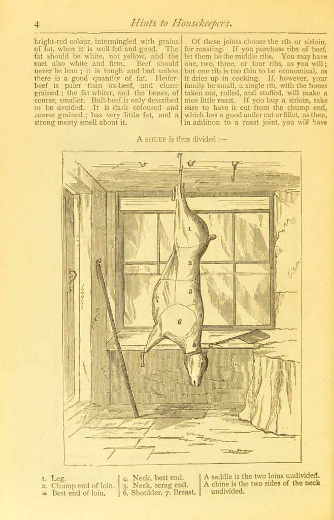 link to previous page