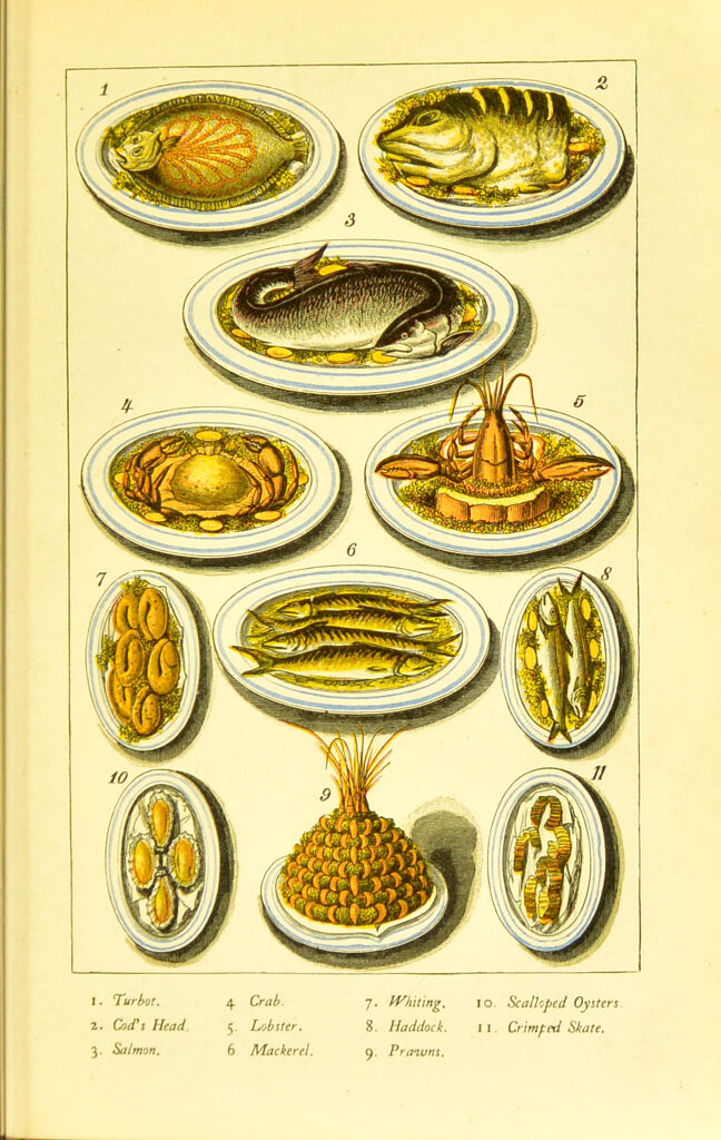 link to previous page