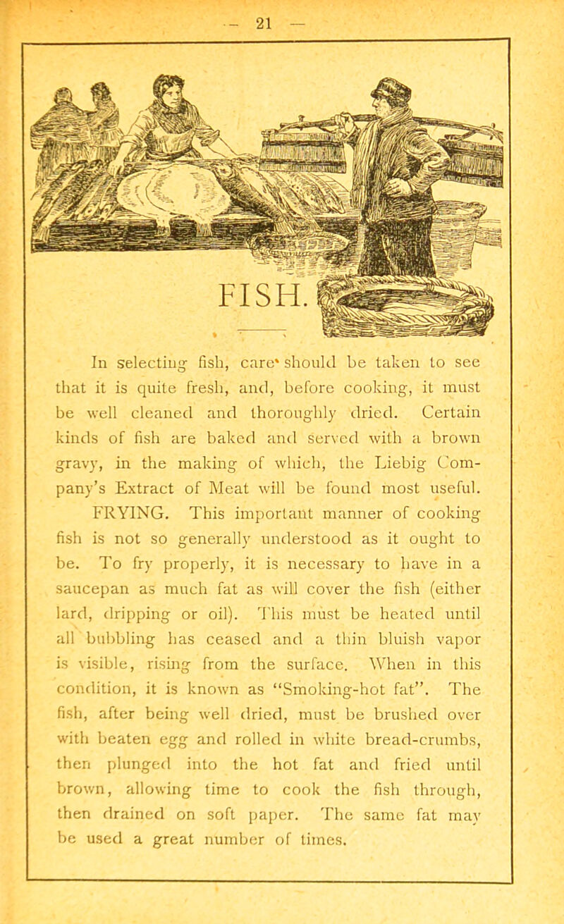 In selecting fish, care' should be taken to see that it is quite fresh, and, before cooking, it must be well cleaned and thoroughly dried. Certain kinds of fish are baked and served with a brown gravy, in the making of which, the Liebig Com- pany’s Extract of Meat will be found most useful. FRYING. This important manner of cooking fish is not so generally understood as it ought to be. To fry properly, it is necessary to have in a saucepan as much fat as will cover the fish (either lard, dripping or oil). This must be heated until all bubbling has ceased and a thin bluish vapor is visible, rising from the surface. When in this condition, it is known as “Smoking-hot fat”. The fish, after being well dried, must be brushed over with beaten egg and rolled in white bread-crumbs, then plunged into the hot fat and fried until brown, allowing time to cook the fish through, then drained on soft paper. The same fat may be used a great number of times.