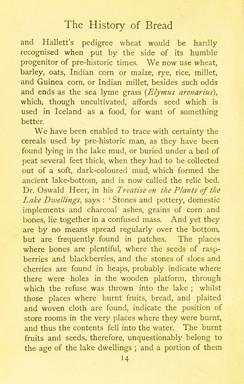 and Hallett’s pedigree wheat would be hardly recognised when put by the side of its humble progenitor of pre-historic times. We now use wheat, barley, oats, Indian corn or maize, rye, rice, millet, and Guinea corn, or Indian millet, besides such odds and ends as the sea lyme grass {Elymus arenarius), which, though uncultivated, affords seed which is used in Iceland as a food, for want of something better. We have been enabled to trace with certainty the cereals used by pre-historic man, as they have been found lying in the lake mud, or buried under a bed of peat several feet thick, when they had to be collected out of a soft, dark-coloured mud, which formed the ancient lake-bottom, and is now called the relic bed. Dr. Oswald Heer, in his Treatise on the Plants of the Lake Diuellings, says : ‘ Stones and pottery, domestic implements and charcoal ashes, grains of corn and bones, lie together in a confused mass. And yet they are by no means spread regularly over the bottom, but are frequently found in patches. The places where bones are plentiful, where the seeds of rasp- berries and blackberries, and the stones of sloes and cherries are found in heaps, probably indicate where there were holes in the wooden platform, through which the refuse was thrown into the lake ; whilst those places where burnt fruits, bread, and plaited and woven cloth are found, indicate the position of store rooms in the very places where they were burnt, and thus the contents fell into the water. The burnt fruits and seeds, therefore, unquestionably belong to the age of the lake dwellings ; and a portion of them