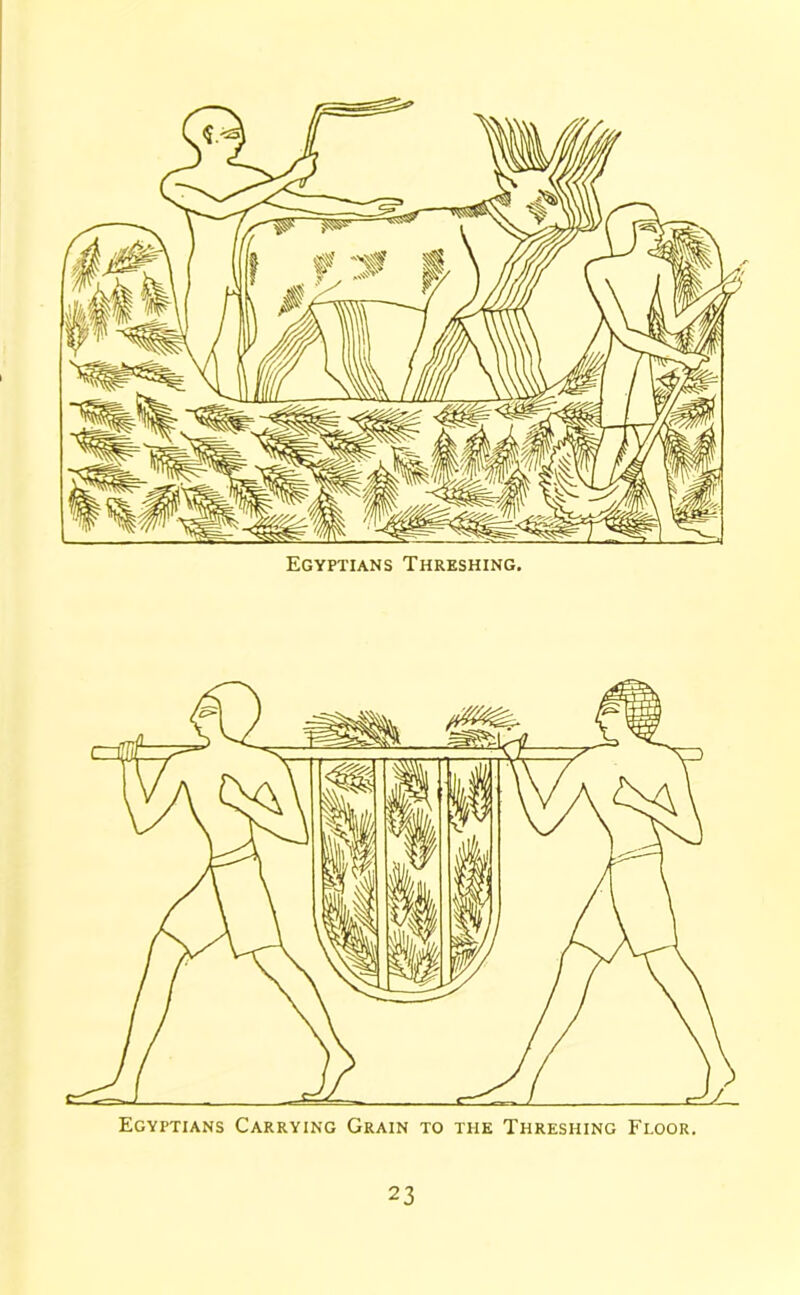 Egyptians Threshing. Egyptians Carrying Grain to the Threshing Floor.