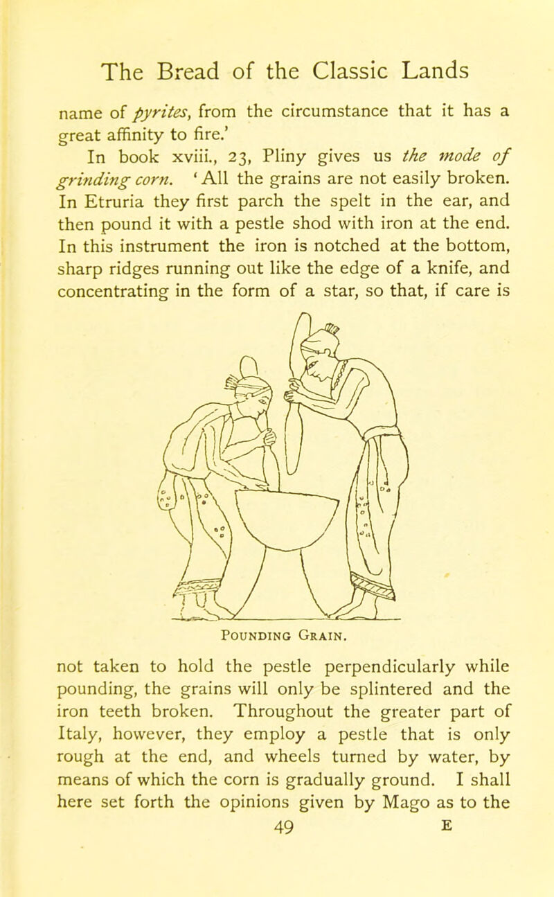 name of pyrites, from the circumstance that it has a great affinity to fire.’ In book xviii., 23, Pliny gives us the mode of grinding corn. 1 All the grains are not easily broken. In Etruria they first parch the spelt in the ear, and then pound it with a pestle shod with iron at the end. In this instrument the iron is notched at the bottom, sharp ridges running out like the edge of a knife, and concentrating in the form of a star, so that, if care is not taken to hold the pestle perpendicularly while pounding, the grains will only be splintered and the iron teeth broken. Throughout the greater part of Italy, however, they employ a pestle that is only rough at the end, and wheels turned by water, by means of which the corn is gradually ground. I shall here set forth the opinions given by Mago as to the