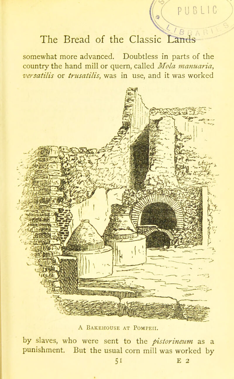 PUBLIC The Bread of the Classic Lands somewhat more advanced. Doubtless in parts of the country the hand mill or quern, called Mola manuaria, versatilis or trusatilis, was in use, and it was worked A Bakehouse at Pompeii, by slaves, who were sent to the pistorineum as a punishment. But the usual corn mill was worked by