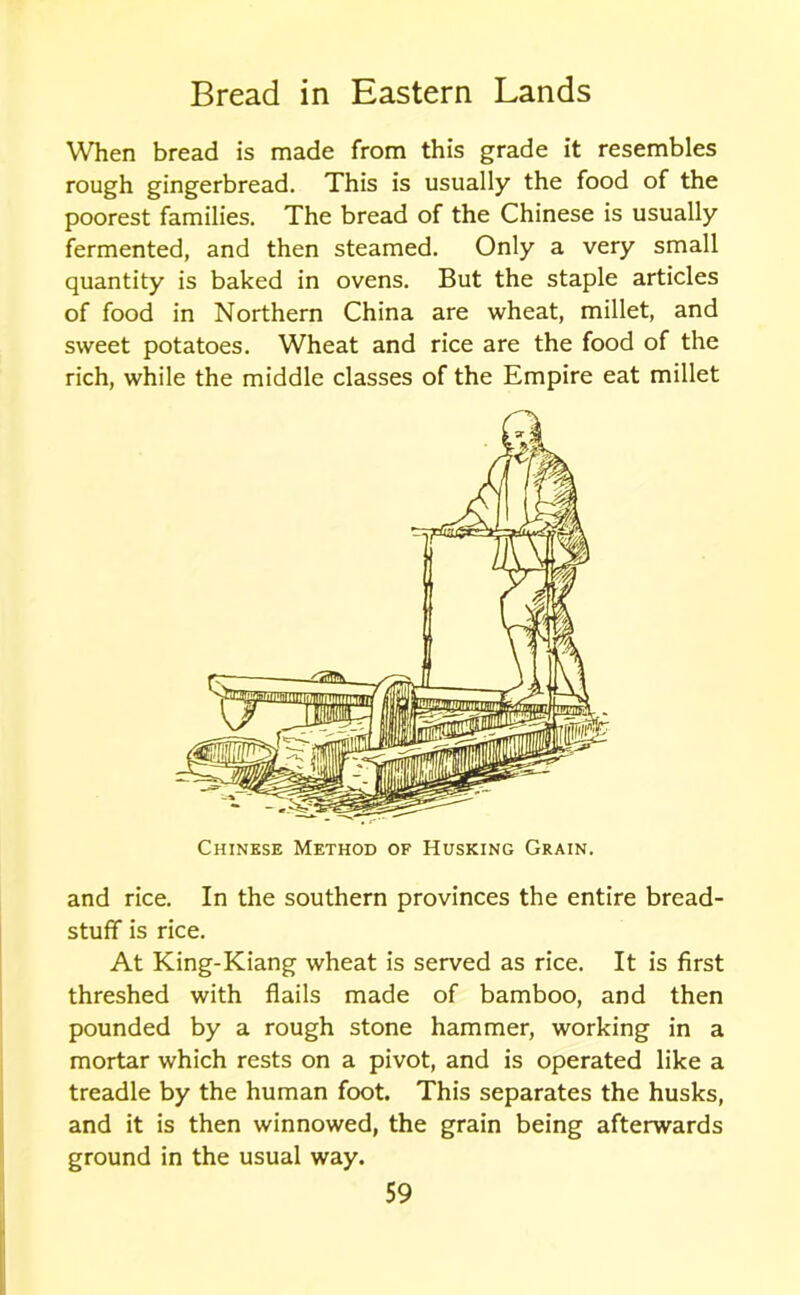 When bread is made from this grade it resembles rough gingerbread. This is usually the food of the poorest families. The bread of the Chinese is usually fermented, and then steamed. Only a very small quantity is baked in ovens. But the staple articles of food in Northern China are wheat, millet, and sweet potatoes. Wheat and rice are the food of the rich, while the middle classes of the Empire eat millet Chinese Method of Husking Grain. and rice. In the southern provinces the entire bread- stuff is rice. At King-Kiang wheat is served as rice. It is first threshed with flails made of bamboo, and then pounded by a rough stone hammer, working in a mortar which rests on a pivot, and is operated like a treadle by the human foot. This separates the husks, and it is then winnowed, the grain being afterwards ground in the usual way.