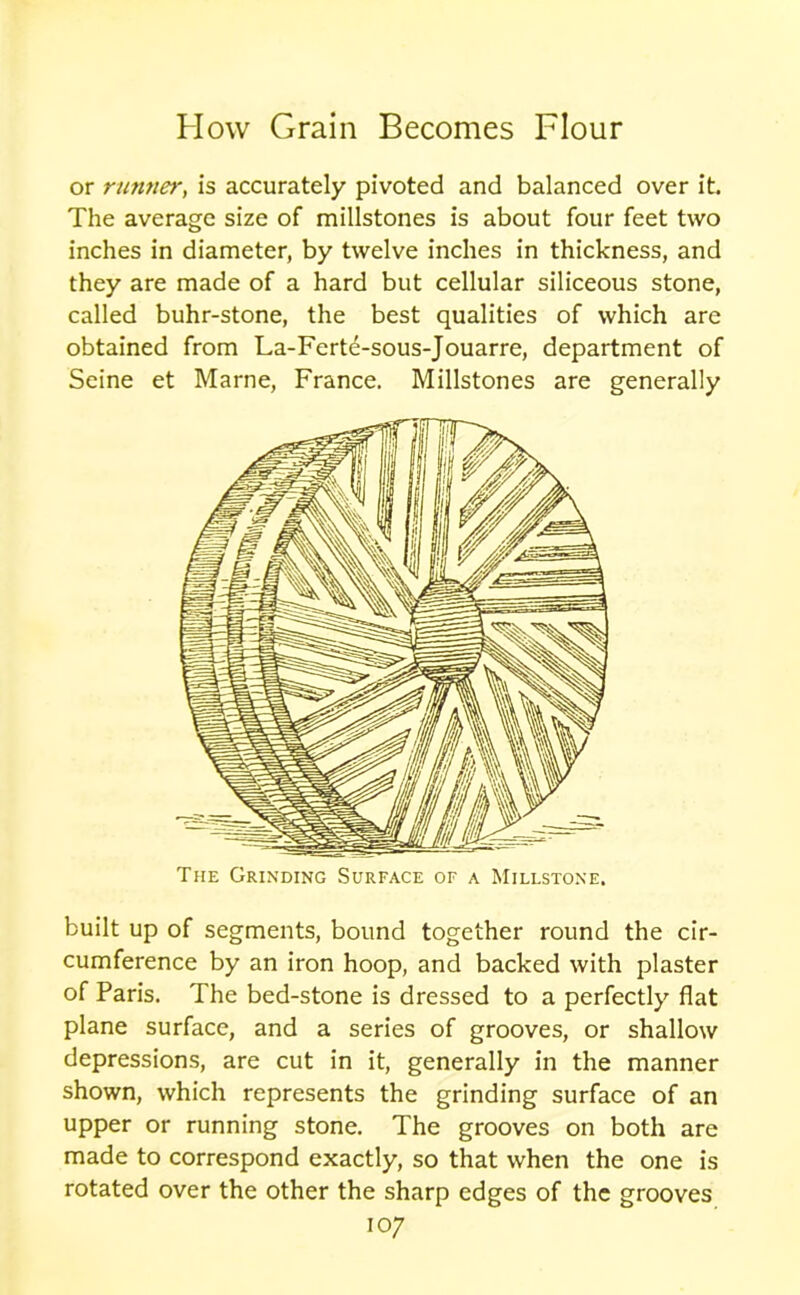 or runner, is accurately pivoted and balanced over it. The average size of millstones is about four feet two inches in diameter, by twelve inches in thickness, and they are made of a hard but cellular siliceous stone, called buhr-stone, the best qualities of which are obtained from La-Ferte-sous-Jouarre, department of Seine et Marne, France. Millstones are generally The Grinding Surface of a Millstone. built up of segments, bound together round the cir- cumference by an iron hoop, and backed with plaster of Paris. The bed-stone is dressed to a perfectly flat plane surface, and a series of grooves, or shallow depressions, are cut in it, generally in the manner shown, which represents the grinding surface of an upper or running stone. The grooves on both are made to correspond exactly, so that when the one is rotated over the other the sharp edges of the grooves