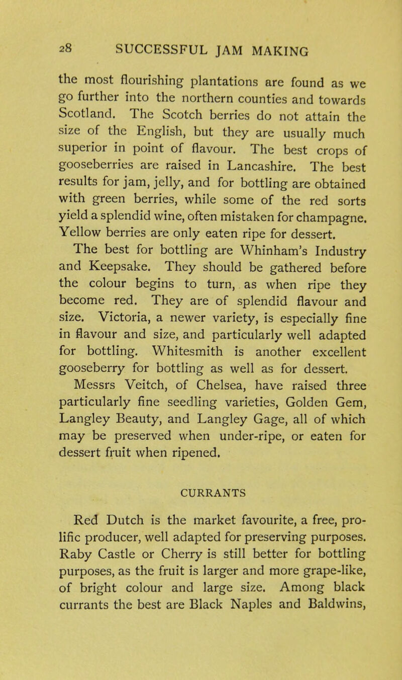the most flourishing plantations are found as we go further into the northern counties and towards Scotland. The Scotch berries do not attain the size of the English, but they are usually much superior in point of flavour. The best crops of gooseberries are raised in Lancashire. The best results for jam, jelly, and for bottling are obtained with green berries, while some of the red sorts yield a splendid wine, often mistaken for champagne. Yellow berries are only eaten ripe for dessert. The best for bottling are Whinham’s Industry and Keepsake. They should be gathered before the colour begins to turn, as when ripe they become red. They are of splendid flavour and size. Victoria, a newer variety, is especially fine in flavour and size, and particularly well adapted for bottling. Whitesmith is another excellent gooseberry for bottling as well as for dessert. Messrs Veitch, of Chelsea, have raised three particularly fine seedling varieties, Golden Gem, Langley Beauty, and Langley Gage, all of which may be preserved when under-ripe, or eaten for dessert fruit when ripened. CURRANTS Red Dutch is the market favourite, a free, pro- lific producer, well adapted for preserving purposes. Raby Castle or Cherry is still better for bottling purposes, as the fruit is larger and more grape-like, of bright colour and large size. Among black currants the best are Black Naples and Baldwins,