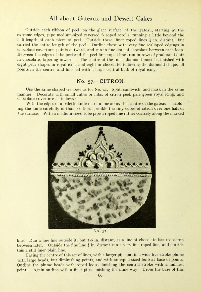 Outside each ribbon of peel, on the glace surface of the gateau, starting at the extreme edges, pipe medium-sized reversed S roped scrolls, running a little beyond the half-length of each piece of peel. Outside these, finer roped lines £ in. distant, but carried the entire length of the peel. Outline these with very fine scalloped edgings in chocolate coverture, points outward, and run in fine dots of chocolate between each loop. Between the edges of the peel and the peel first roped lines run in rows of graduated dots in chocolate, tapering inwards. The centre of the inner diamond must be finished with eight pear shapes in royal icing and eight in chocolate, following the diamond shape, all points in the centre, and finished with a large central bulb of royal icing. No. 57.—CITRON. Use the same shaped Genoese as for No. 41. Split, sandwich, and mask in the same manner. Decorate with small cubes or nibs, of citron peel, pale green royal icing, and chocolate coverture as follows With the edges of a palette-knife mark a line across the centre of the gateau. Hold- ing the knife carefully in that position, sprinkle the tiny cubes of citron over one half of the surface. With a medium-sized tube pipe a roped line rather coarsely along the marked No. 57. line. Run a fine line outside it, but 1-6 in. distant, as a line of chocolate has to be run between later. Outside the fine line | in. distant run a very fine roped line, and outside this a still finer plain line. Facing the centre of this set of lines, with a larger pipe put in a wide five-stroke plume with large heads, but diminishing points, and with an equal-sized bulb at base of points. Outline the plume heads with roped loops, finishing the central stroke with a minaret point. Again outline with a finer pipe, finishing the same way From the base of this