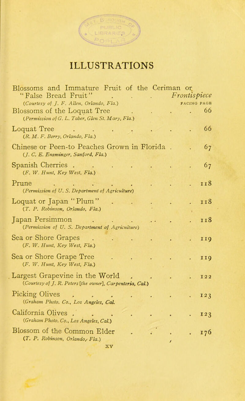 ILLUSTRATIONS Blossoms and Immature Fruit of the Ceriman or “False Bread Fruit” (Courtesy of J. F. Allen, Orlando, Fla.) Blossoms of the Loquat Tree (Permission ofG. L. Taber, Glen St. Mary, Fla.) Frontispiece FACING PAGE 66 Loquat Tree ..... (R. M. F. Berry, Orlando, Fla.) 66 Chinese or Peen-to Peaches Grown in Florida (J. C. E. Ensminger, Sanford, Fla.) 67 Spanish Cherries ..... (F. W. Hunt, Key West, Fla.) 67 Prune ...... (Permission of U. S. Department of Agriculture) 118 Loquat or Japan “ Plum ” (T. P. Robinson, Orlando, Fla.) 118 1 Japan Persimmon (Permission of U. S. Department of Agriculture) . 118 Sea or Shore Grapes .... (F. W. Hunt, Key West, Fla.) . 119 Sea or Shore Grape Tree (F. W. Hunt, Key West, Fla.) 119 Largest Grapevine in the World (Courtesy of J. R. Peters \lhe owner), Carpenteria, Cal.) 122 Picking Olives ..... (Graham Photo. Co., Los Angeles^ Cal. . 123 California Olives . . (Graham Photo. Co., Los Angeles, Cal.) . 123 Blossom of the Common Elder (7. P, Robinson, Orlando/ Fla.) . . 176 /