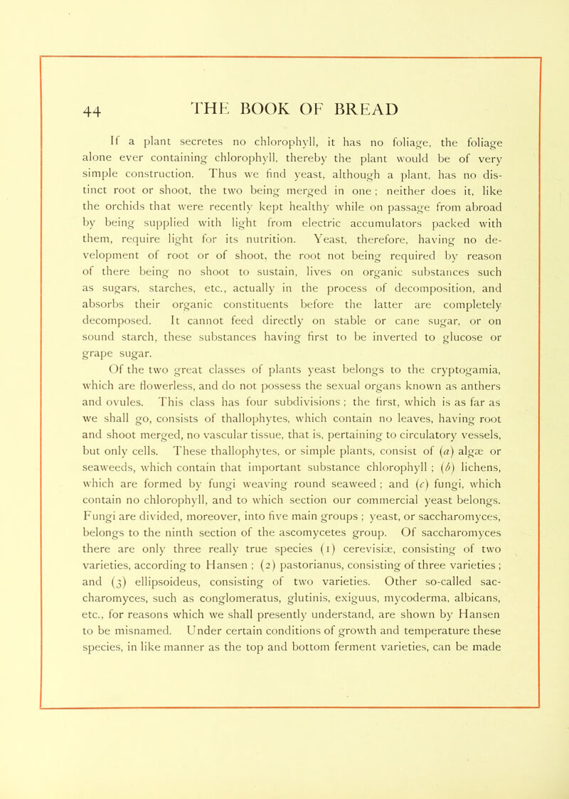 If a plant secretes no chlorophyll, it has no foliage, the foliage alone ever containing chlorophyll, thereby the plant would be of very simple construction. Thus we find yeast, although a plant, has no dis- tinct root or shoot, the two being merged in one ; neither does it, like the orchids that were recently kept healthy while on passage from abroad by being supplied with light from electric accumulators packed with them, require light for its nutrition. Yeast, therefore, having no de- velopment of root or of shoot, the root not being required by reason of there being no shoot to sustain, lives on organic substances such as sugars, starches, etc., actually in the process of decomposition, and absorbs their organic constituents before the latter are completely decomposed. It cannot feed directly on stable or cane sugar, or on sound starch, these substances having first to be inverted to glucose or grape sugar. Of the two great classes of plants yeast belongs to the cryptogamia, which are dowerless, and do not possess the sexual organs known as anthers and ovules. This class has four subdivisions ; the first, which is as far as we shall go, consists of thallophytes, which contain no leaves, having root and shoot merged, no vascular tissue, that is, pertaining to circulatory vessels, but only cells. These thallophytes, or simple plants, consist of (a) algae or seaweeds, which contain that important substance chlorophyll ; (b) lichens, which are formed by fungi weaving round seaweed ; and (c) fungi, which contain no chlorophyll, and to which section our commercial yeast belongs. Fungi are divided, moreover, into five main groups ; yeast, or saccharomyces, belongs to the ninth section of the ascomycetes group. Of saccharomyces there are only three really true species (i) cerevisiae, consisting of two varieties, according to Hansen ; (2) pastorianus, consisting of three varieties ; and (3) ellipsoideus, consisting of two varieties. Other so-called sac- charomyces, such as conglomeratus, glutinis, exiguus, mycoderma, albicans, etc., for reasons which we shall presently understand, are shown by Hansen to be misnamed. Under certain conditions of growth and temperature these species, in like manner as the top and bottom ferment varieties, can be made