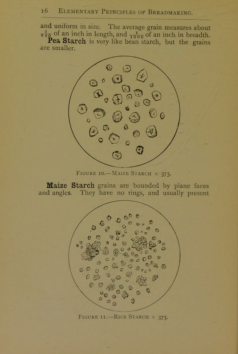 and uniform in size. The average grain measures about of inch in length, and loVo of inch in breadth. Pea Starch is very like bean starch, but the grains are smaller. Figure io.—Maize Starch x 375. Maize Starch grains are bounded by plane faces and angles. They have no rings, and usually present