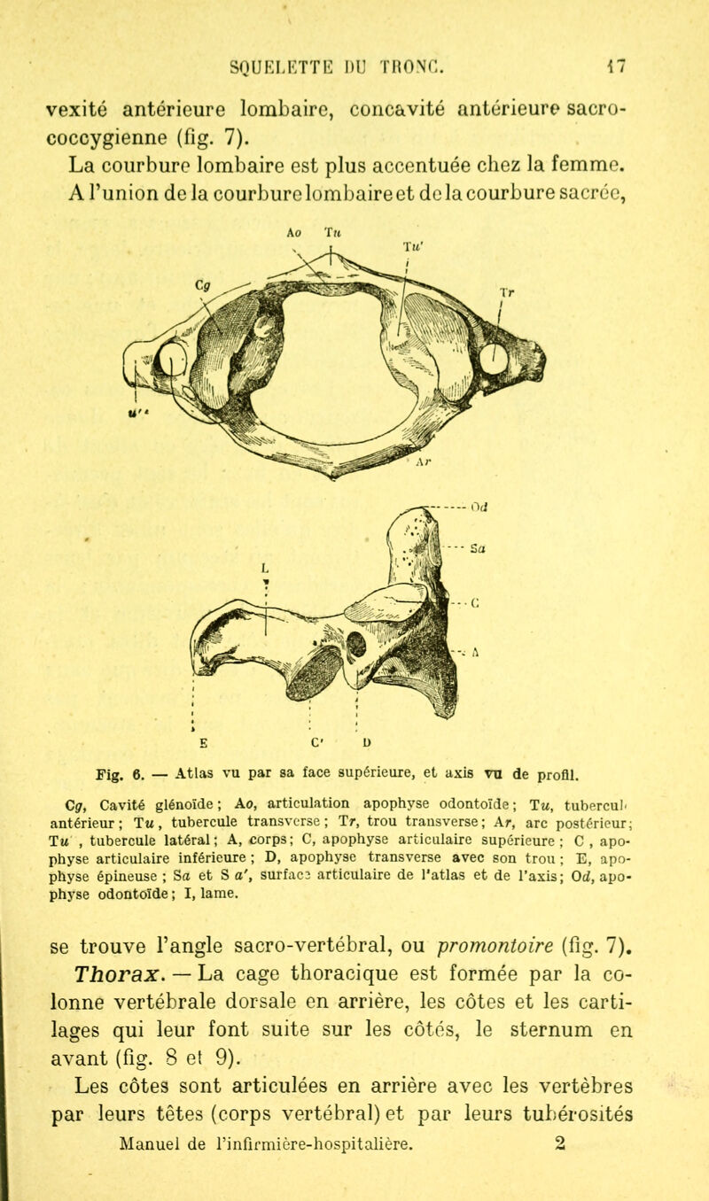 vexité antérieure lombaire, concavité antérieure sacro- coccygienne (fîg. 7). La courbure lombaire est plus accentuée chez la femme. A l’union de la courbure lombaire et de la courbure sacrée, Fig. 0. — Atlas vu par sa face supérieure, et axis vu de profil. Cg, Cavité glénoïde ; Ao, articulation apophyse odontoïde ; Tu, tubercul- antérieur; Tu, tubercule transverse; Tr, trou transverse; Ar, arc postérieur; Tu , tubercule latéral ; A, corps ; C, apophyse articulaire supérieure ; C , apo- physe articulaire inférieure ; D, apophyse transverse avec son trou ; E, apo- physe épineuse ; Su et S a', surfacs articulaire de l’atlas et de l’axis; Od, apo- physe odontoïde ; I, lame. se trouve l’angle sacro-vertébral, ou promontoire (fig. 7). Thorax. — La cage thoracique est formée par la co- lonne vertébrale dorsale en arrière, les côtes et les carti- lages qui leur font suite sur les côtés, le sternum en avant (fîg. 8 et 9). Les côtes sont articulées en arrière avec les vertèbres par leurs têtes (corps vertébral) et par leurs tubérosités Manuel de rinfirmière-hospitalière. 2