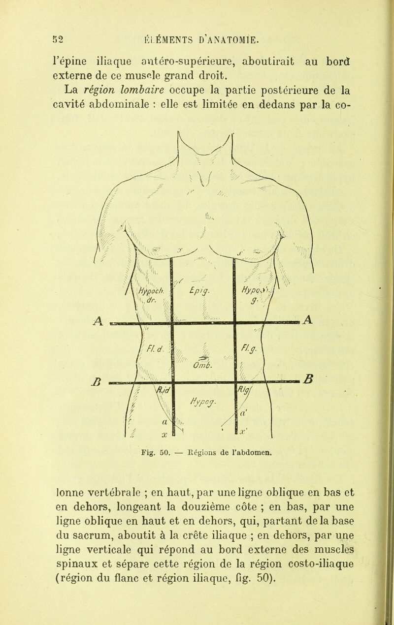 l’épine iliaque antéro-supérieure, aboutirait au bord externe de ce muscle grand droit. La région lombaire occupe la partie postérieure de la cavité abdominale : elle est limitée en dedans par la co- lonne vertébrale ; en haut, par une ligne oblique en bas et en dehors, longeant la douzième côte ; en bas, par une ligne oblique en haut et en dehors, qui, partant de la base du sacrum, aboutit à la crête iliaque ; en dehors, par une ligne verticale qui répond au bord externe des muscles spinaux et sépare cette région de la région costo-iliaque (région du flanc et région iliaque, fig. 50).
