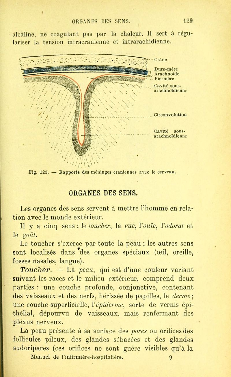 alcaline, ne coagulant pas par la chaleur. Il sert à régu- lariser la tension intracrânienne et intrarachidienne. Crâne Dure-mère Arachnoïde Pie-mère Cavité sous- arachnoïdienne Circonvolution Cavité sous- arachnoïdienne Pig. 123. — Rapports des méninges crâniennes avec le cerveau. ORGANES DES SENS. Les organes des sens servent à mettre l’homme en rela- tion avec le monde extérieur. Il y a cinq sens : le toucher, la vue, Youïe, Yodorat et le goût. Le toucher s’exerce par toute la peau ; les autres sens sont localisés dans des organes spéciaux (œil, oreille, fosses nasales, langue). Toucher. — La peau, qui est d’une couleur variant suivant les races et le milieu extérieur, comprend deux parties : une couche profonde, conjonctive, contenant des vaisseaux et des nerfs, hérissée de papilles, le derme ; une couche superficielle, Y épiderme, sorte de vernis épi- thélial, dépourvu de vaisseaux, mais renfermant des plexus nerveux. La peau présente à sa surface des pores ou orifices des follicules pileux, des glandes sébacées et des glandes sudoripares (ces orifices ne sont guère visibles qu’à la Manuel de l’infirmière-hospitalière. 9