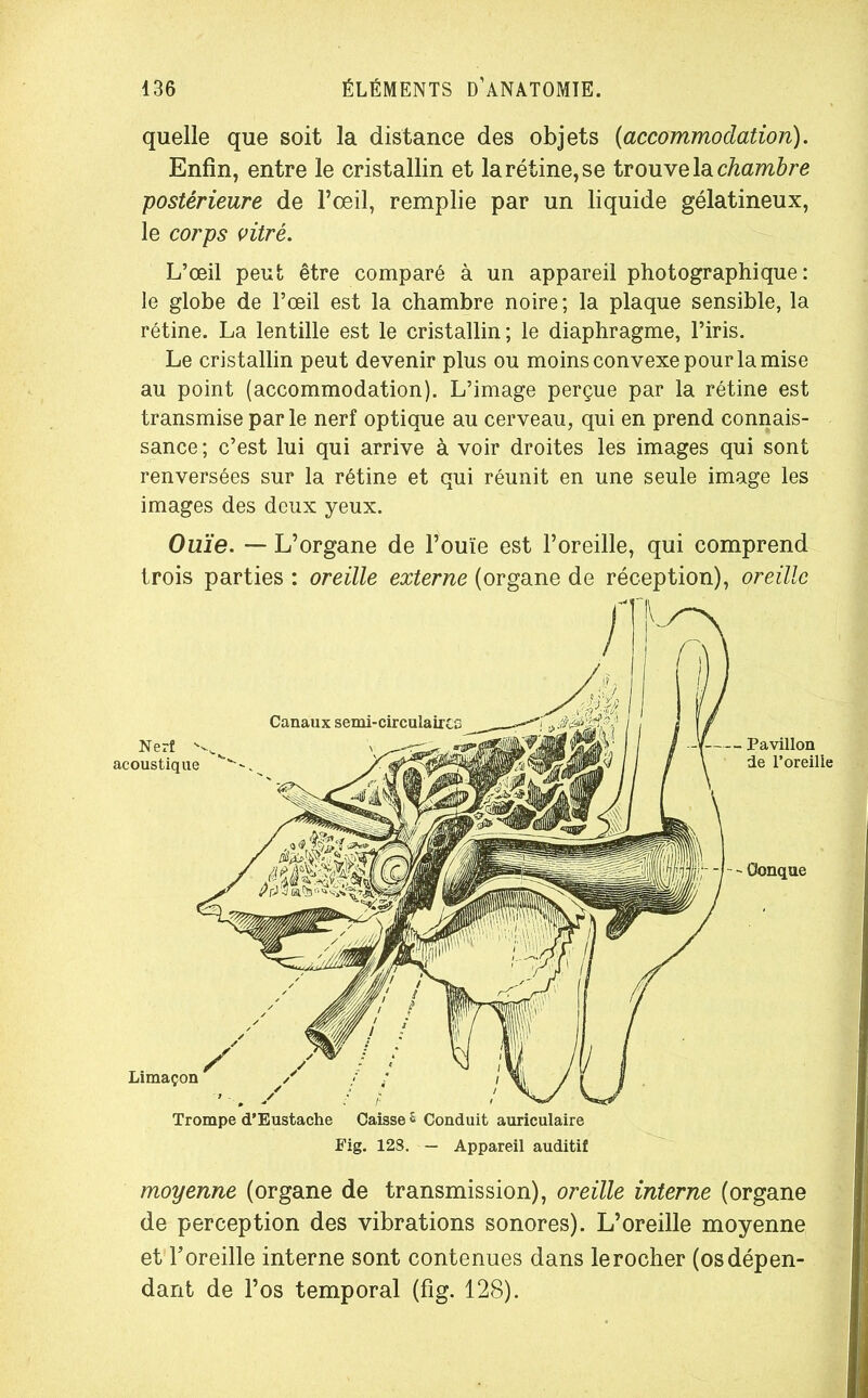quelle que soit la distance des objets (accommodation). Enfin, entre le cristallin et la rétine, se trouve la chambre postérieure de l’œil, remplie par un liquide gélatineux, le corps vitré. L’œil peut être comparé à un appareil photographique: le globe de l’œil est la chambre noire; la plaque sensible, la rétine. La lentille est le cristallin; le diaphragme, l’iris. Le cristallin peut devenir plus ou moins convexe pour la mise au point (accommodation). L’image perçue par la rétine est transmise par le nerf optique au cerveau, qui en prend connais- sance ; c’est lui qui arrive à voir droites les images qui sont renversées sur la rétine et qui réunit en une seule image les images des deux yeux. Ouïe. — L’organe de l’ouïe est l’oreille, qui comprend trois parties : oreille externe (organe de réception), oreille Fig. 12S. — Appareil auditif moyenne (organe de transmission), oreille interne (organe de perception des vibrations sonores). L’oreille moyenne et l’oreille interne sont contenues dans le rocher (os dépen- dant de l’os temporal (fig. 128).