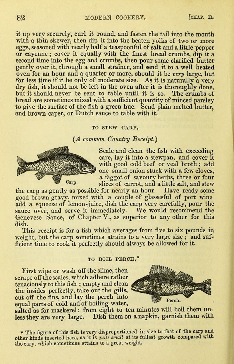 it up very securely, curl it round, and fasten the taU into the mouth with a thin skewer, then dip it into the beaten yolks of two or more eggs, seasoned with nearly half a teaspoonful of salt and a little pepper or cayenne; cover it equally with the finest bread crumbs, (hp it a second time into the egg and crumbs, then pour some clarified butter gently over it, through a small strainer, and send it to a well heated oven for an hour and a quarter or more, should it be very large, but for less time if it be only of moderate size. As it is naturally a very dry fish, it should not be left in the oven after it is thoroughly done, but it should never be sent to table imtil it is so. The crumbs of bread are sometimes mixed with a sufficient quantity of minced parsley to give the surface of the fish a green hue. Send plain melted butter, and brown caper, or Dutch sauce to table with it. TO STEW CARP. (A common Country Meceipt.') Scale and clean the fish with exceeding care, lay it into a stewpan, and cover it with good cold beef or veal broth ; add one small onion stuck with a few cloves, a faggot of savoury herbs, three or four slices of carrot, and a little salt, and stew the carp as gently as possible for nearly an hour. Have ready some good brown gravy, mixed with a couple of glassesful of port wine add a squeeze of lemon-juice, dish the carp very carefully, pour the sauce over, and serve it immediately. We would recommend the Genevese Sauce, of Chapter V., as superior to any other for this dish. This receipt is for a fish which averages from five to six pounds in weight, but the carp sometimes attains to a very large size ; and suf- ficient time to cook it perfectly should always be allowed for it. TO BOIL PERCH,* First wipe or wash off the slime, then scrape off the scales, which adhere rather tenaciously to this fish ; empty and clean the insides perfectly, take out the gills, cut off the fins, and lay the perch into equal parts of cold and of boiling water, salted as for mackerel: from eight to ten minutes will boil them iin- less they are very large. Dish them on a napkin, garnish them with * The figure of this fish is very disproportioned in size to that of the carp and other kinds inserted here, as it is quite small at its fuUest growth compared with the carp, which sometimes attains to a great weight.