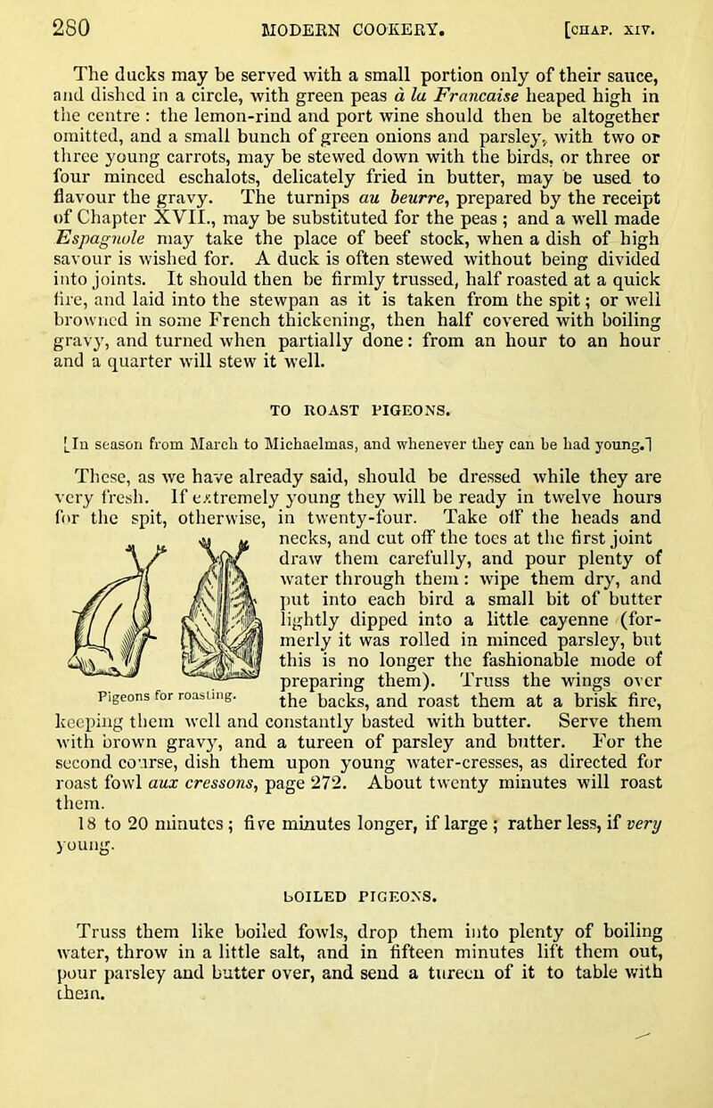 The ducks may be served with a small portion only of their sauce, and dished in a circle, with green peas d la Francaise heaped high in the centre : the lemon-rind and port wine should then be altogether omitted, and a small bunch of green onions and parsley, with two or three young carrots, may be stewed down with the birds, or three or four minced eschalots, delicately fried in butter, may be used to flavour the gravy. The turnips an beurre, prepared by the receipt of Chapter XVII., may be substituted for the peas ; and a well made Espagnole may take the place of beef stock, when a dish of high savour is wished for. A duck is often stewed without being divided into joints. It should then be firmly trussed, half roasted at a quick fire, and laid into the stewpan as it is taken from the spit; or well browned in some French thickening, then half covered with boiling gravy, and turned when partially done: from an hour to an hour and a quarter will stew it well. TO ROAST PIGEONS. [In season from March to Michaelmas, and whenever they can be had young.l These, as we have already said, should be dressed while they are very fresh. If extremely young they will be ready in twelve hours far the spit, otherwise, in twenty-four. Take olf the heads and ^ u necks, and cut oflF the toes at the first joint draw them carefully, and pour plenty of water through them: wipe them dry, and jmt into each bird a small bit of butter Kvil'M I’li^tly dipped into a little cayenne (for- merly it was rolled in minced parsley, but this is no longer the fashionable mode of preparing them). Truss the wings over Pigeons for roasung. backs, and roast them at a brisk fire, keeping them well and constantly basted with butter. Serve them with brown gravyq and a tureen of parsley and butter. For the second course, dish them upon young water-cresses, as directed for roast fowl aux cressons, page 272. About twenty minutes will roast them. 18 to 20 minutes; five minutes longer, if large; rather less, if very young. bOILED PIGEONS. Truss them like boiled fowls, drop them into plenty of boiling water, throw in a little salt, and in fifteen minutes lift them out, pour parsley and butter over, and send a tureen of it to table with them.