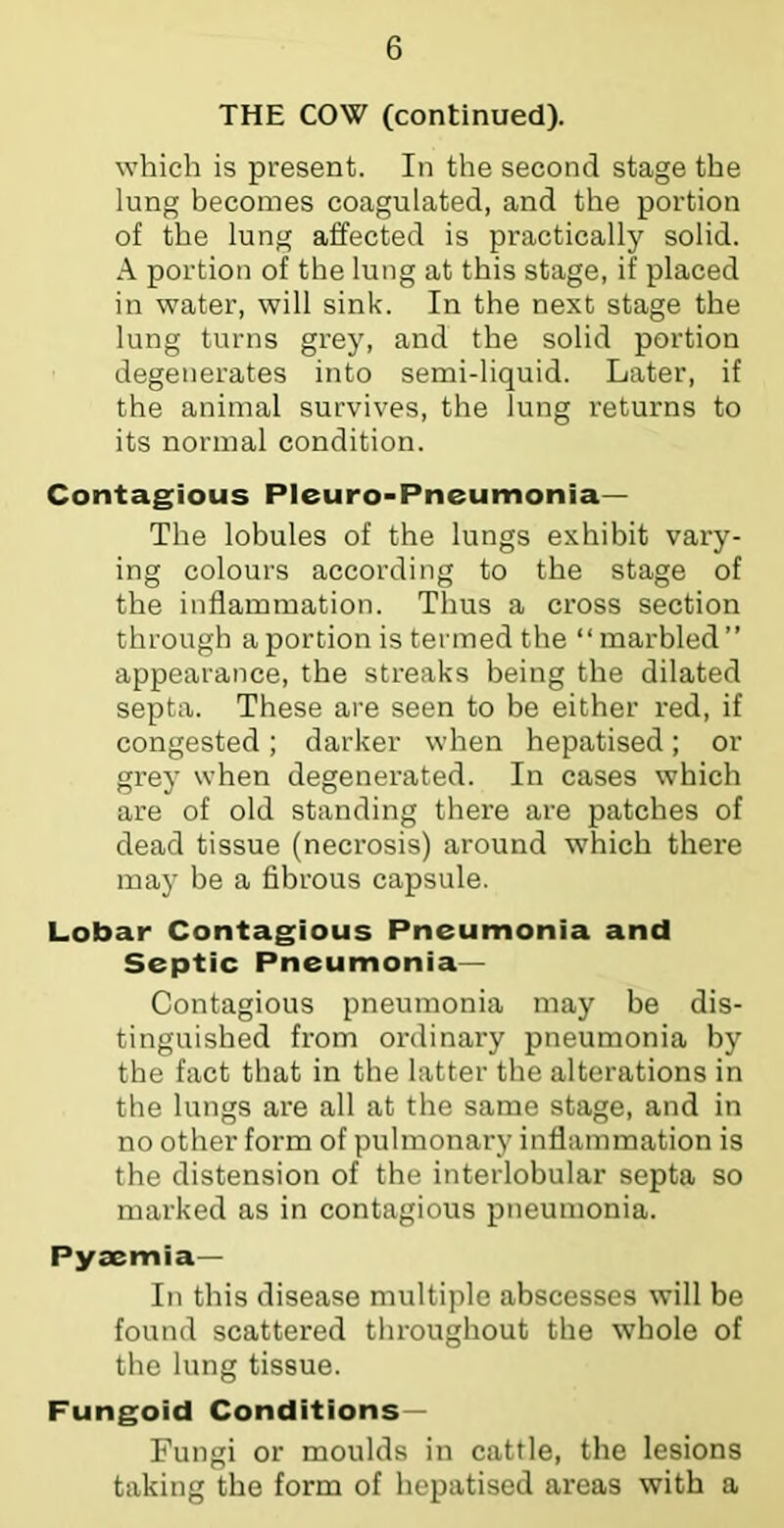 THE COW (continued). which is present. In the second stage the lung becomes coagulated, and the portion of the lung affected is practically solid. A portion of the lung at this stage, if placed in water, will sink. In the next stage the lung turns grey, and the solid portion degenerates into semi-liquid. Later, if the animal survives, the lung returns to its normal condition. Contagious Pleuro-Pneumonia— The lobules of the lungs exhibit vary- ing colours according to the stage of the inflammation. Thus a cross section through a portion is termed the “ marbled ” appearance, the streaks being the dilated septa. These are seen to be either red, if congested; darker when hepatised; or gi’ey when degenerated. In cases which are of old standing there are patches of dead tissue (necrosis) around which there may be a flbrous capsule. Lobar Contagious Pneumonia and Septic Pneumonia— Contagious pneumonia may be dis- tinguished fi'om ordinary pneumonia by the fact that in the latter the alterations in the lungs are all at the same stage, and in no other form of pulmonary inflammation is the distension of the interlobular septa so marked as in contagious pneumonia. Pyaemia— In this disease multiple abscesses will be found scattered throughout the whole of the lung tissue. Fungoid Conditions— Fungi or moulds in cattle, the lesions taking the form of hepatised areas with a