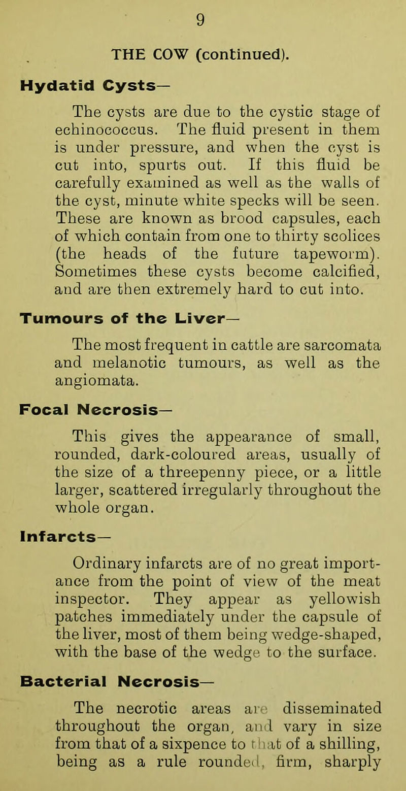 THE COW (continued). Hydatid Cysts— The cysts are due to the cystic stage of echinococcus. The fluid present in them is under pressure, and when the cyst is cut into, spurts out. If this fluid be carefully examined as well as the walls of the cyst, minute white specks will be seen. These are known as brood capsules, each of which contain from one to thirty scolices (the heads of the future tapeworm). Sometimes these cysts become calcified, and are then extremely hard to cut into. Tumours of the Liver— The most frequent in cattle are sarcomata and melanotic tumours, as well as the angiomata. Focal Necrosis— This gives the appearance of small, rounded, dark-coloured areas, usually of the size of a threepenny piece, or a little larger, scattered irregularly throughout the whole organ. Infarcts— Ordinary infarcts are of no great import- ance from the point of view of the meat inspector. They appear as yellowish patches immediately under the capsule of the liver, most of them being wedge-shaped, with the base of the wedge to the surface. Bacteriai Necrosis— The necrotic areas are disseminated throughout the organ, and vary in size from that of a sixpence to that of a shilling, being as a rule rounded, firm, sharply