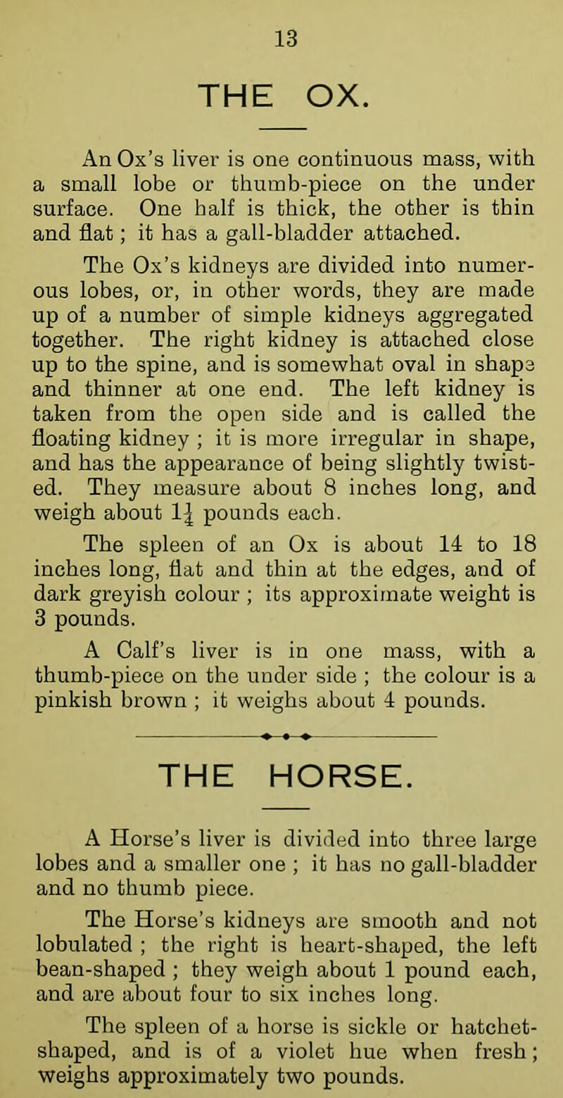 THE OX. An Ox’s liver is one continuous mass, with a small lobe or thumb-piece on the under surface. One half is thick, the other is thin and flat; it has a gall-bladder attached. The Ox’s kidneys are divided into numer- ous lobes, or, in other words, they are made up of a number of simple kidneys aggregated together. The right kidney is attached close up to the spine, and is somewhat oval in shape and thinner at one end. The left kidney is taken from the open side and is called the floating kidney ; it is more irregular in shape, and has the appearance of being slightly twist- ed. They measure about 8 inches long, and weigh about pounds each. The spleen of an Ox is about 14 to 18 inches long, flat and thin at the edges, and of dark greyish colour ; its approximate weight is 3 pounds. A Calf’s liver is in one mass, with a thumb-piece on the under side ; the colour is a pinkish brown ; it weighs about 4 pounds. THE HORSE. A Horse’s liver is divided into three large lobes and a smaller one ; it has no gall-bladder and no thumb piece. The Horse’s kidneys are smooth and not lobulated ; the right is heart-shaped, the left bean-shaped ; they weigh about 1 pound each, and are about four to six inches long. The spleen of a horse is sickle or hatchet- shaped, and is of a violet hue when fresh; weighs approximately two pounds.