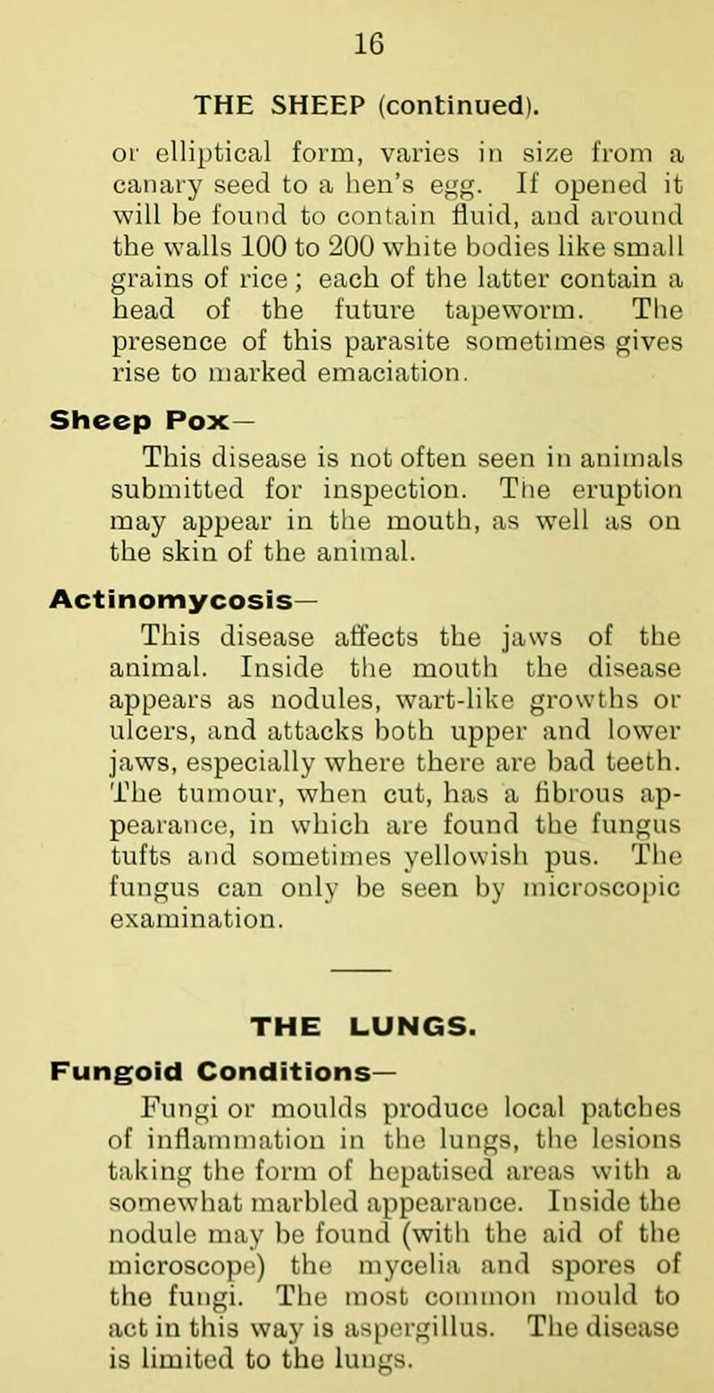 THE SHEEP (continued). or elliptical form, varies in size from a canary seed to a hen’s egg. If opened it will be found to contain fluid, and around the walls 100 to 200 white bodies like small grains of rice; each of the latter contain a head of the future tapeworm. The presence of this parasite sometimes gives rise to marked emaciation. Sheep Pox— This disease is not often seen in animals submitted for inspection. The eruption may appear in the mouth, as well as on the skin of the animal. Actinomycosis— This disease affects the jaws of the animal. Inside the mouth the disease appears as nodules, wart-like growths or ulcers, and attacks both upper and lower jaws, especially where there are bad teeth. The tumour, when cut, has a fibrous ap- pearance, in which are found the fungus tufts and sometimes yellowish pus. The fungus can only be seen by microscopic examination. THE LUNGS. Fungoid Conditions— Fungi or moulds produce local patches of inflammation in the lungs, the lesions taking the form of hepatised areas with a somewhat marbled appearance. Inside the nodule may be found (with the aid of the microscope) the mycelia and spores of the fungi. The most common mould to act in this way is aspergillus. The disease is limited to the lungs.