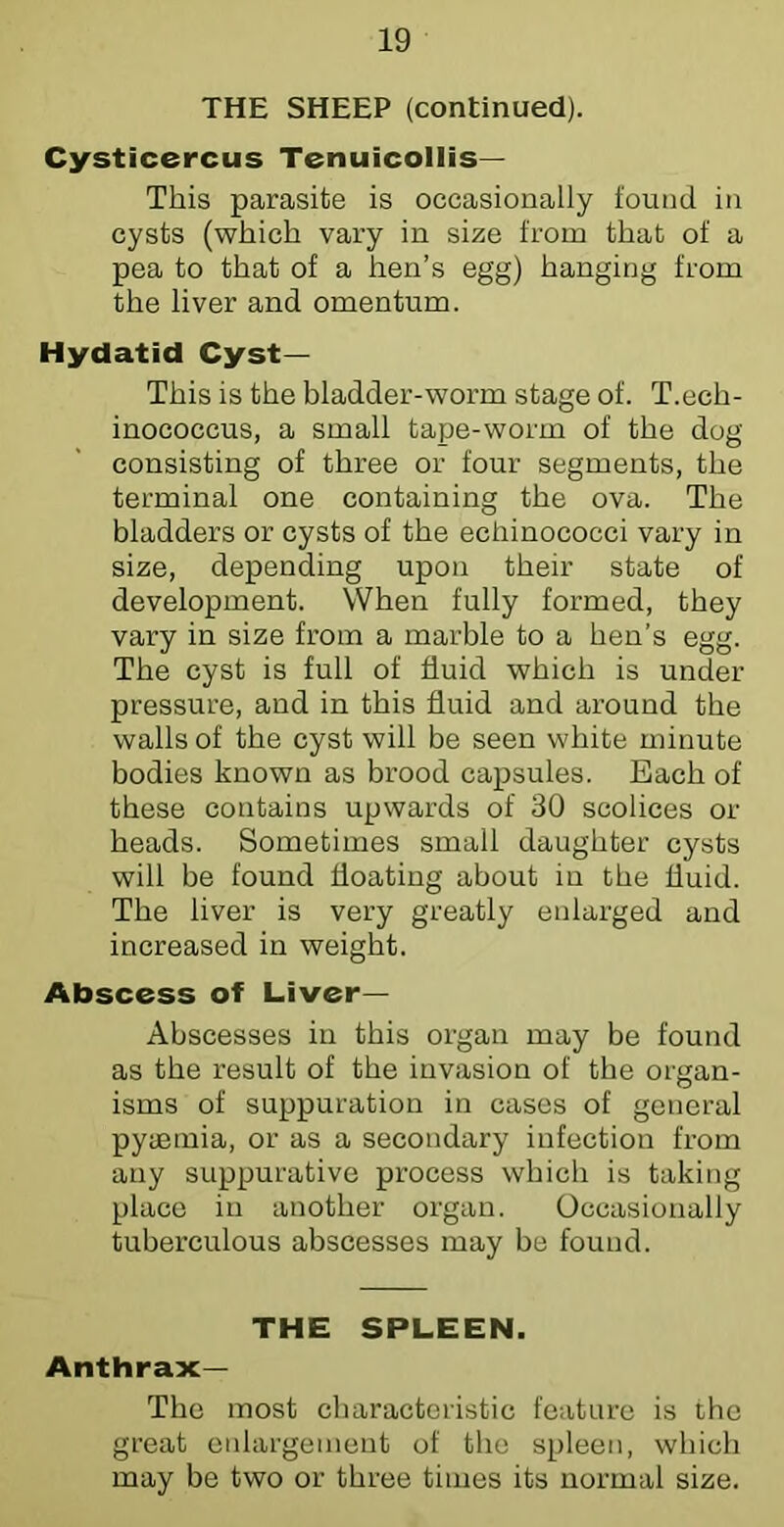 THE SHEEP (continued). Cysticercus Tenuicollis— This parasite is occasionally found in cysts (which vary in size from that of a pea to that of a hen’s egg) hanging from the liver and omentum. Hydatid Cyst— This is the bladder-worm stage of. T.ech- inococcus, a small tape-worm of the dog consisting of three or four segments, the terminal one containing the ova. The bladders or cysts of the echinococci vary in size, depending upon their state of development. When fully formed, they vary in size from a marble to a hen’s egg. The cyst is full of fluid which is under pressure, and in this fluid and around the walls of the cyst will be seen white minute bodies known as brood capsules. Each of these contains upwards of 30 scolices or heads. Sometimes small daughter cysts will be found floating about in the fluid. The liver is very greatly enlarged and increased in weight. Abscess of Liver- Abscesses in this organ may be found as the result of the invasion of the organ- isms of suppuration in cases of general pyaemia, or as a secondary infection from any suppurative process which is taking place in another organ. Occasionally tuberculous abscesses may be found. THE SPLEEN. Anthrax— The most characteristic feature is the great enlargement of the spleen, which may be two or three times its normal size.