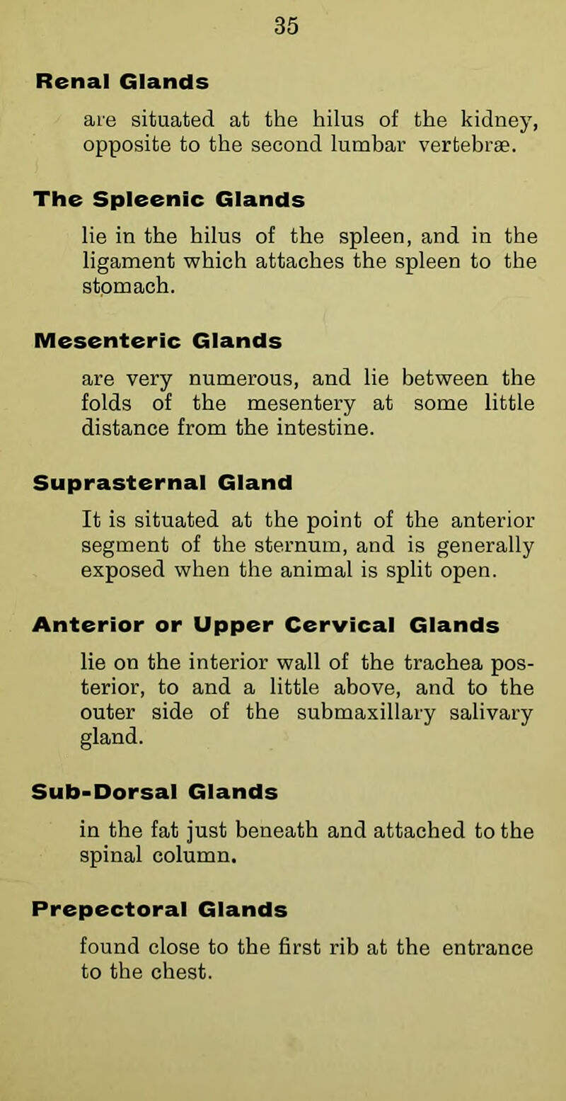 Renal Glands aie situated at the hilus of the kidney, opposite to the second lumbar vertebrae. The Spleenic Glands lie in the hilus of the spleen, and in the ligament which attaches the spleen to the stomach. Mesenteric Glands are very numerous, and lie between the folds of the mesentery at some little distance from the intestine. Suprasternal Gland It is situated at the point of the anterior segment of the sternum, and is generally exposed when the animal is split open. Anterior or Upper Cervical Glands lie on the interior wall of the trachea pos- terior, to and a little above, and to the outer side of the submaxillary salivary gland. Sub-Dorsal Glands in the fat just beneath and attached to the spinal column. Prepectoral Glands found close to the first rib at the entrance to the chest.