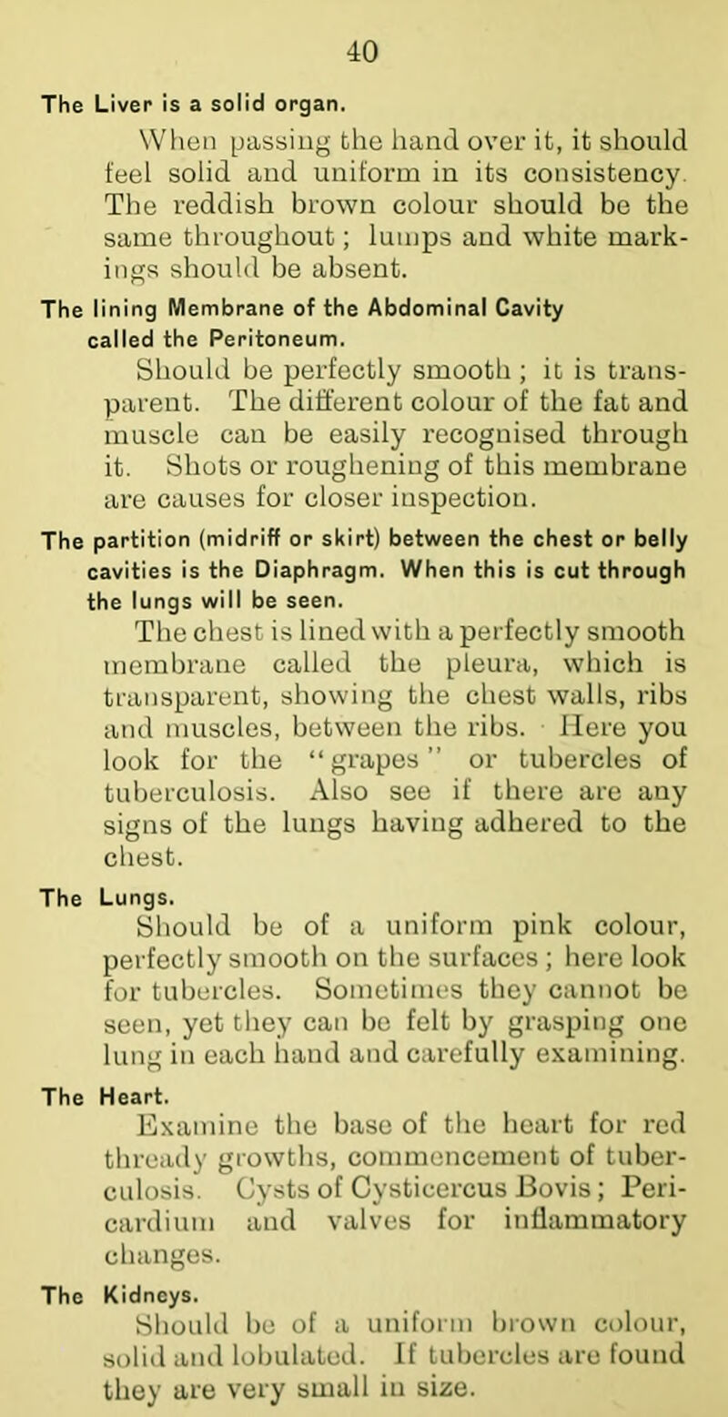 The Liver is a solid organ. When passing the hand over it, it should feel solid and uniform in its consistency. The reddish brown colour should be the same throughout; lumps and white mark- ings should be absent. The lining Membrane of the Abdominal Cavity called the Peritoneum. Should be perfectly smooth; it is trans- parent. The different colour of the fat and muscle can be easily recognised through it. Shots or roughening of this membrane are causes for closer inspection. The partition (midriff or skirt) between the chest or belly cavities is the Diaphragm. When this is cut through the lungs will be seen. The chest is lined with a perfectly smooth membrane called the pleura, which is transparent, showing the chest walls, ribs and muscles, between the ribs. Here you look for the “grapes” or tubercles of tuberculosis. Also see if there are any signs of the lungs having adhered to the chest. The Lungs. Should be of a uniform pink colour, perfectly smooth on the surfaces ; here look for tubercles. Sometimes they cannot be seen, yet tliey can be felt by grasping one lung in each hand and carefully examining. The Heart. Examine the base of the heart for red thready growths, commencement of tuber- culosis. Cysts of Cysticercus Bovis; Peri- cardium and valves for inflammatory changes. The Kidneys. Sliould be of a uniform brown colour, solid and lobulated. If tubercles are found they are very small in size.