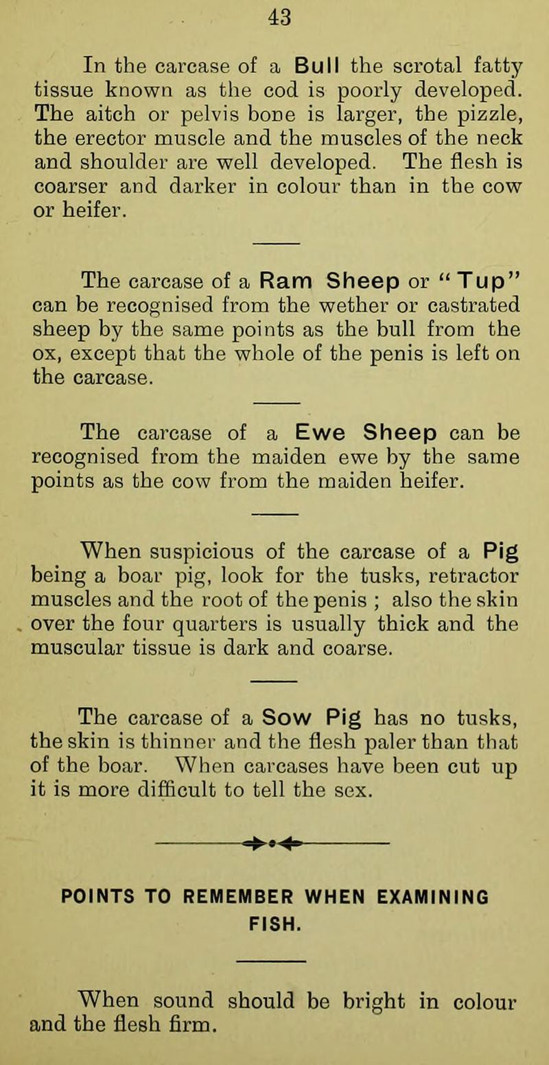 In the carcase of a Bull the scrotal fatty tissue known as the cod is poorly developed. The aitch or pelvis bone is larger, the pizzle, the erector muscle and the muscles of the neck and shoulder are well developed. The flesh is coarser and darker in colour than in the cow or heifer. The carcase of a Ram Sheep or “Tup” can be recognised from the wether or castrated sheep by the same points as the bull from the ox, except that the whole of the penis is left on the carcase. The carcase of a Ewe Sheep can be recognised from the maiden ewe by the same points as the cow from the maiden heifer. When suspicious of the carcase of a Pig being a boar pig, look for the tusks, retractor muscles and the root of the penis ; also the skin over the four quarters is usually thick and the muscular tissue is dark and coarse. The carcase of a Sow Pig has no tusks, the skin is thinner and the flesh paler than that of the boar. When carcases have been cut up it is more difficult to tell the sex. POINTS TO REMEMBER WHEN EXAMINING FISH. When sound should be bright in colour and the flesh firm.
