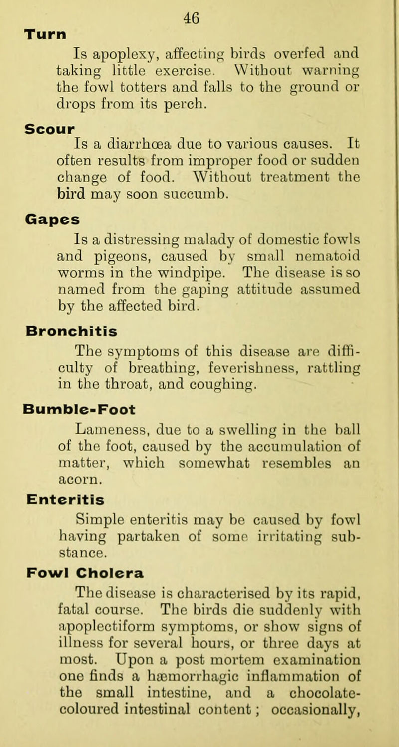 Turn Is apoplexy, affecting birds overfed and taking little exercise. Without warning the fowl totters and falls to the ground or drops from its perch. Scour Is a diarrhoea due to various causes. It often results from improper food or sudden change of food. Without treatment the bird may soon succumb. Gapes Is a distressing malady of domestic fowls and pigeons, caused by small nematoid worms in the windpipe. The disease is so named from the gaping attitude assumed by the affected bird. Bronchitis The symptoms of this disease are diffi- culty of breathing, feverishness, rattling in the throat, and coughing. Bumble>Foot Lameness, due to a swelling in the hall of the foot, caused by the accumulation of matter, which somewhat resembles an acorn. Enteritis Simple enteritis may be caused by fowl having partaken of some irritating sub- stance. Fowl Cholera The disease is characterised by its rapid, fatal course. The birds die suddenly with apoplectiform symptoms, or show signs of illness for several hours, or three days at most. Upon a post mortem examination one finds a haemorrhagic inflammation of the small intestine, and a chocolate- coloured intestinal content; occasionally,