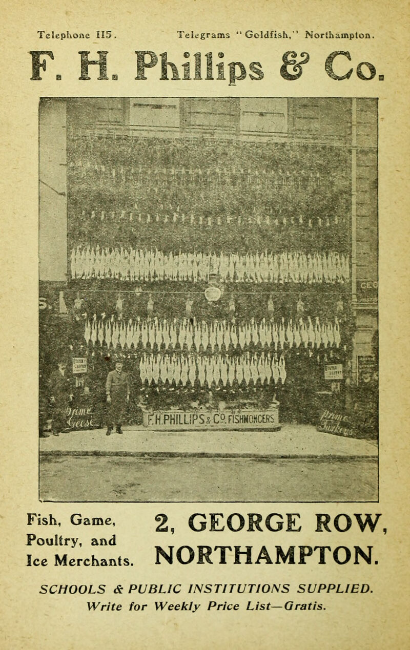 Telephone 115. Telegrams “Goldfish, Northampton. Fish, Game, ^ GEORGE ROW, Poultry, and Ice Merchants. NORTHAMPTON. 'H PHILLIPS i CP. FISHMONGERS imt! imtfP y\ v\ ■ SCHOOLS & PUBLIC INSTITUTIONS SUPPLIED. Write for Weekly Price List—Gratis.