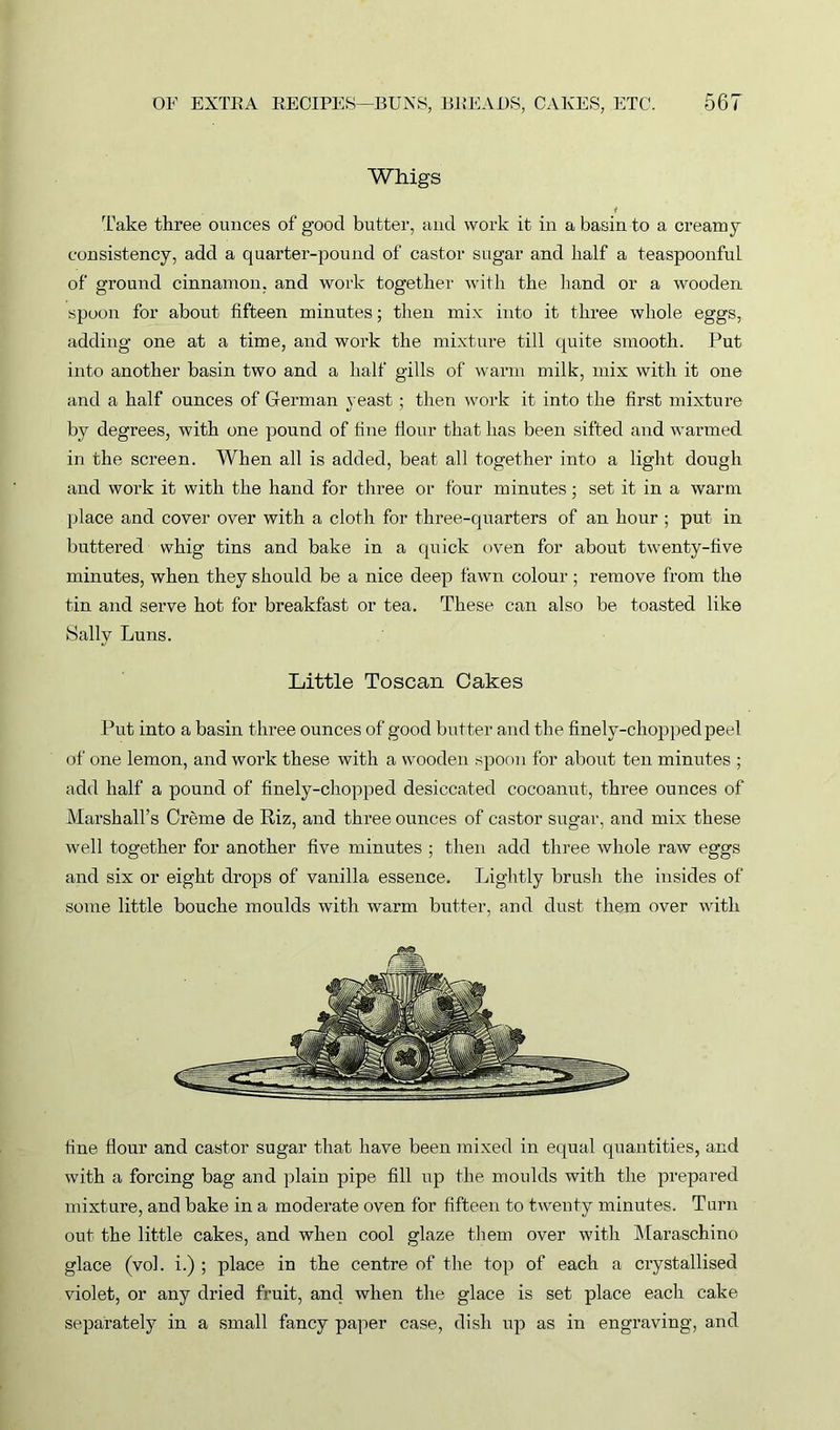 Whigs Take three ounces of good butter, and work it in a basin to a creamy consistency, add a quarter-pound of castor sugar and half a teaspoonful of ground cinnamon, and work together with the hand or a wooden spoon for about fifteen minutes; then mix into it three whole eggs, adding one at a time, and work the mixture till quite smooth. Put into another basin two and a half gills of warm milk, mix with it one and a half ounces of German yeast; then work it into the first mixture by degrees, with one pound of fine Hour that has been sifted and warmed in the screen. When all is added, beat all together into a light dough and work it with the hand for three or four minutes; set it in a warm place and cover over with a cloth for three-quarters of an hour ; put in buttered whig tins and bake in a quick oven for about twenty-five minutes, when they should be a nice deep fawn colour ; remove from the tin and serve hot for breakfast or tea. These can also be toasted like Sally Luns. Little Toscan Cakes Put into a basin three ounces of good butter and the finely-chopped peel of one lemon, and work these with a wooden spoon for about ten minutes ; add half a pound of finely-chopped desiccated cocoanut, three ounces of Marshall’s Creme de Riz, and three ounces of castor sugar, and mix these well together for another five minutes ; then add three whole raw eggs and six or eight drops of vanilla essence. Lightly brush the insides of some little bouche moulds with warm blitter, and dust them over with fine Hour and castor sugar that have been mixed in equal quantities, and with a forcing bag and plain pipe fill up the moulds with the prepared mixture, and bake in a moderate oven for fifteen to twenty minutes. Tarn out the little cakes, and when cool glaze them over with Maraschino glace (vol. i.) ; place in the centre of the top of each a crystallised violet, or any dried fruit, anc] when the glace is set place each cake separately in a small fancy paper case, dish up as in engraving, and