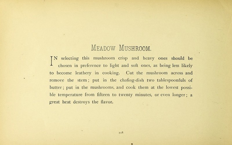 Meadow Mushroom. TN selecting this mushroom crisp and heavy ones should be ^ chosen in preference to light and soft ones, as being less likely to become leathery in cooking. Cut the mushroom across and remove the stem ; put in the chafing-dish two tablespoonfuls of butter; put in the mushrooms, and cook them at the lowest possi- ble temperature from fifteen to twenty minutes, or even longer; a great heat destroys the flavor.