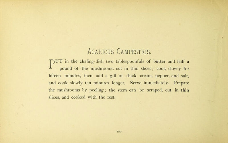 Agaricus Campestris. UT in the chafing-dish two tablespoonfuls of butter and half a pound of the mushrooms, cut in thin slices ; cook slowly for fifteen minutes, then add a gill of thick cream, pepper, and salt, and cook slowly ten minutes longer. Serve immediately. Prepare the mushrooms by peeling; the stem can be scraped, cut in thin slices, and cooked with the rest.