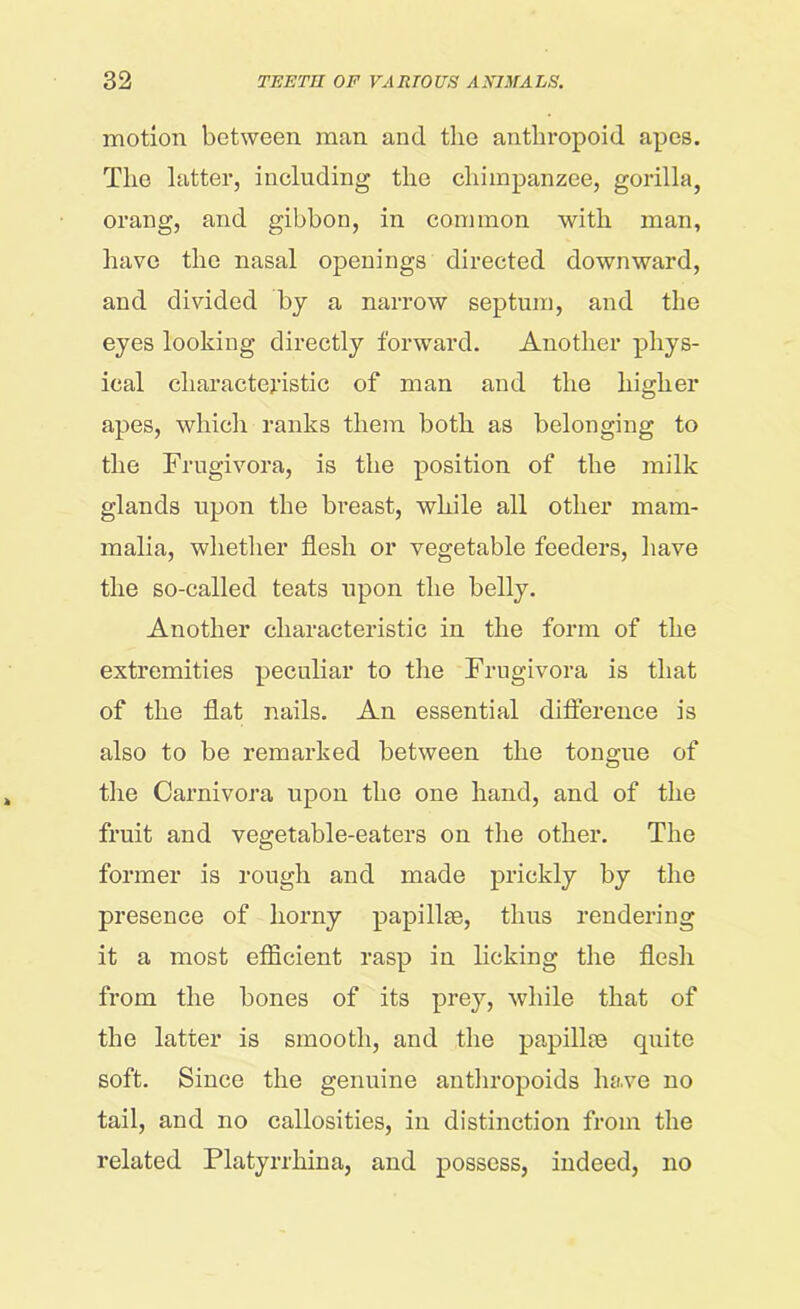 motion between man and the anthropoid apes. The latter, including the chimpanzee, gorilla, orang, and gibbon, in common with man, have the nasal openings directed downward, and divided by a narrow septum, and the eyes looking directly forward. Another phys- ical characteristic of man and the higher apes, which ranks them both as belonging to the Frugivora, is the position of the milk glands upon the breast, while all other mam- malia, whether flesh or vegetable feeders, have the so-called teats upon the belly. Another characteristic in the form of the extremities peculiar to the Frugivora is that of the flat nails. An essential difference is also to be remarked between the tongue of the Carnivora upon the one hand, and of the fruit and vegetable-eaters on the other. The former is rough and made prickly by the presence of horny papillae, thus rendering it a most efficient rasp in licking the flesh from the bones of its prey, while that of the latter is smooth, and the papillae quite soft. Since the genuine anthropoids have no tail, and no callosities, in distinction from the related Platyrrhina, and possess, indeed, no