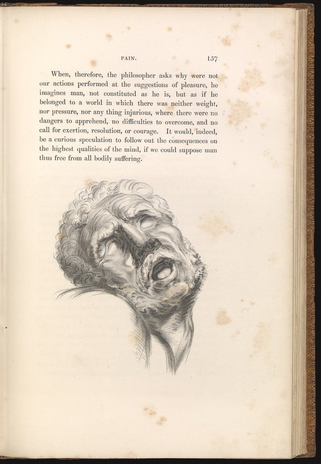 digitised image 1