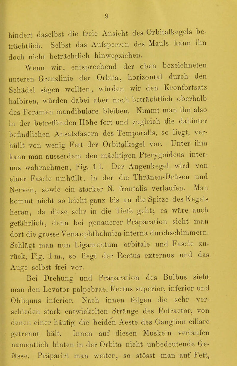 hindert daselbst die freie Ansicht des Orbitalkegels be- trächtlich. Selbst das Aufsperren des Mauls kann ihn doch nicht beträchtlich hinwegziehen. Wenn wir, entsprechend der oben bezeichneten unteren Grenzlinie der Orbita, horizontal durch den Schädel sägen wollten, würden wir den Kronfortsatz halbiren, würden dabei aber noch beträchtlich oberhalb des Foramen mandibulare bleiben. Nimmt man ihn also in der betreffenden Höhe fort und zugleich die dahinter befindlichen Ansatzfasern des Temporaiis, so liegt, ver- hüllt von wenig Fett der Orbitalkegel vor. Unter ihm kann man ausserdem den mächtigen Pterygoideus inter- nus wahrnehmen, Fig. 11. Der Augenkegel wird von I einer Fascie umhüllt, in der die Thränen-Drüsen und  Nerven, sowie ein starker N. frontalis verlaufen. Man kommt nicht so leicht ganz bis an die Spitze des Kegels heran, da diese sehr in die Tiefe geht; es wäre auch gefährlich, denn bei genauerer Präparation sieht man dort die grosse Vena ophthalmica interna durchschimmern. Schlägt man nun Ligamentum orbitale und Fascie zu- rück, Fig. 1 m., so liegt der Rectus externus und das Auge selbst frei vor. Bei Drehung und Präparation des Bulbus sieht man den Levator palpebrae, Rectus superior, inferior und Obliquus inferior. Nach innen folgen die sehr ver- schieden stark entwickelten Stränge des Retractor, von denen einer häufig die beiden Aeste des Ganglion ciliare getrennt hält. Innen auf diesen Muskeln verlaufen namentlich hinten in der Orbita nicht unbedeutende Ge- fässe. Präparirt man weiter, so stösst man auf Fett,