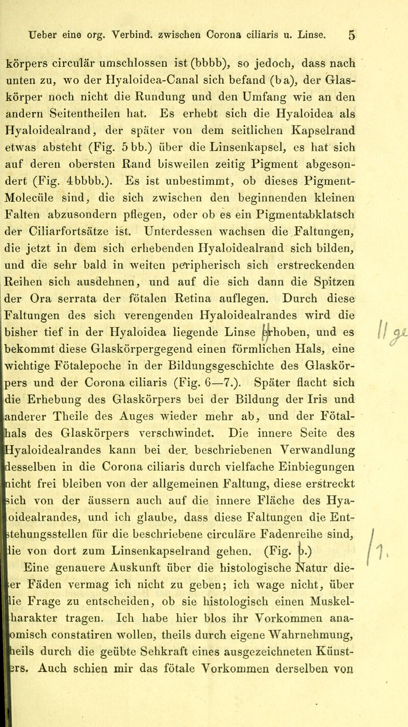 körpers circulär umschlossen ist (bbbb), so jedoch, dass nach unten zu, wo der Hyaloidea-Canal sich befand (ba), der Glas- körper noch nicht die Rundung und den Umfang wie an den andern Seitentheilen hat. Es erhebt sich die Hyaloidea als Hyaloidealrand, der später von dem seitlichen Kapselrand etwas absteht (Fig. 5 bb.) über die Linsenkapsel, es hat sich auf deren obersten Rand bisweilen zeitig Pigment abgeson- dert (Fig. 4 bbbb.). Es ist unbestimmt, ob dieses Pigment- Molecüle sind, die sich zwischen den beginnenden kleinen Falten abzusondern pflegen, oder ob es ein Pigmentabklatsch der Ciliarfortsätze ist. Unterdessen wachsen die Faltungen, die jetzt in dem sich erhebenden Hyaloidealrand sich bilden, und die sehr bald in weiten peripherisch sich erstreckenden Reihen sich ausdehnen, und auf die sich dann die Spitzen Sder Ora serrata der fötalen Retina auflegen. Durch diese Faltungen des sich verengenden Hyaloidealrandes wird die bisher tief in der Hyaloidea liegende Linse j^hoben, und es bekommt diese Glaskörpergegend einen förmlichen Hals, eine wichtige Fötalepoche in der Bildungsgeschichte des Glaskör- pers und der Corona ciliaris (Fig. 6—7.). Später flacht sich die Erhebung des Glaskörpers bei der Bildung der Iris und (anderer Theile des Auges wieder mehr ab, und der Fötal- Shals des Glaskörpers verschwindet. Die innere Seite des [Hyaloidealrandes kann bei der. beschriebenen Verwandlung desselben in die Corona ciliaris durch vielfache Einbiegungen licht frei bleiben von der allgemeinen Faltung, diese erstreckt sich von der äussern auch auf die innere Fläche des Hya- oidealrandes, und ich glaube, dass diese Faltungen die Ent- stehungsstellen für die beschriebene circuläre Fadenreihe sind, lie von dort zum Linsenkapselrand gehen. (Fig. p.) Eine genauere Auskunft über die histologische Natur die- ser Fäden vermag ich nicht zu geben; ich wage nicht, über lie Frage zu entscheiden, ob sie histologisch einen Muskel- harakter tragen. Ich habe hier blos ihr Vorkommen ana- omisch constatiren wollen, theils durch eigene Wahrnehmung, neils durch die geübte Sehkraft eines ausgezeichneten Künst- srs. Auch schien mir das fötale Vorkommen derselben von