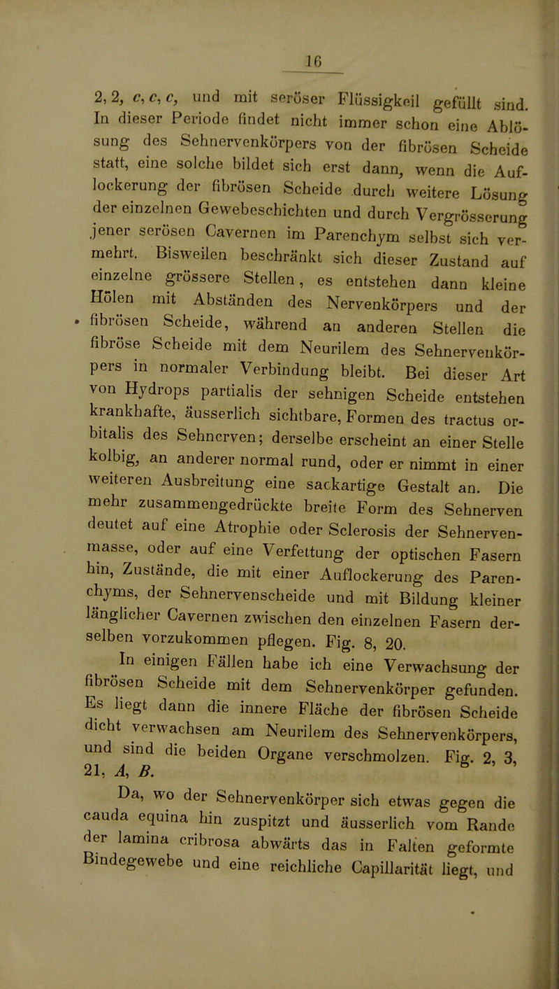 2,2, c,c,c, und mit seröser Flüssigkeil gefüllt sind. In dieser Periode findet nicht immer schon eine Ablö- sung des Sehnervenkörpers von der fibrösen Scheide statt, eine solche bildet sich erst dann, wenn die Auf- lockerung der fibrösen Scheide durch weitere Lösung der einzelnen Gewebeschichten und durch Vergrösserung jener serösen Cavernen im Parenchjm selbst sich ver- mehrt. Bisweilen beschränkt sich dieser Zustand auf einzelne grössere Stellen, es entstehen dann kleine Holen mit Abständen des Nervenkörpers und der . fibrösen Scheide, während an anderen Stellen die fibröse Scheide mit dem Neurilem des Sehnervenkör- pers in normaler Verbindung bleibt. Bei dieser Art von Hydrops partialis der sehnigen Scheide entstehen krankhafte, äusserlich sichtbare, Formen des tractus or- bitalis des Sehnerven; derselbe erscheint an einer Stelle kolbig, an anderer normal rund, oder er nimmt in einer weiteren Ausbreitung eine sackartige Gestalt an. Die mehr zusammengedrückte breite Form des Sehnerven deutet auf eine Atrophie oder Sclerosis der Sehnerven- masse, oder auf eine Verfettung der optischen Fasern hm, Zustände, die mit einer Auflockerung des Paren- chjms, der Sehnervenscheide und mit Bildung kleiner länglicher Cavernen zwischen den einzelnen Fasern der- selben vorzukommen pflegen. Fig. 8, 20. In einigen Fällen habe ich eine Verwachsung der fibrösen Scheide mit dem Sehnervenkörper gefunden. Es liegt dann die innere Fläche der fibrösen Scheide dicht verwachsen am Neurilem des Sehnervenkörpers, und sind die beiden Organe verschmolzen. Fig. 2, 3, 21, A, B. ö > , Da, wo der Sehnervenkörper sich etwas gegen die cauda equina hin zuspitzt und äusserhch vom Rande der lamina cribrosa abwärts das in Falten geformte Bmdegewebe und eine reichhche Capillarität liegt, und