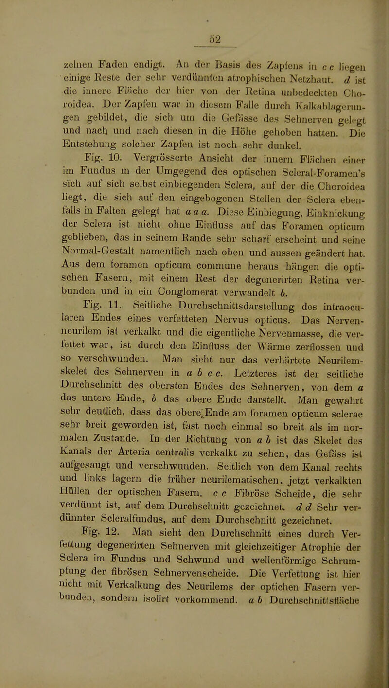 zeliien Faden endigt. An der Basis de» Zapfens in cc liegen einige Beste der sehr vordünnten atrophischen Netzhaut, d ist die innere Fläche der hier von der Retina unbedeckten Cho- roidea. Der Zapfen war in diesem Falle durch Kalkablageruu- gen gebildet, die sich um die Gefiisse des Sehnerven gelegt und nach und nach diesen in die Höhe gehoben hatten. Die Entstehung solcher Zapfen ist noch sehr dunkel. Fig. 10. Vergrösserte Ansicht der Innern Flächen einer im Fundus m der Umgegend des optischen Scleral-Foramen's sich auf sich selbst einbiegenden Sclera, auf der die Choroidea liegt, die sich auf den eingebogenen Stellen der Sclera eben- falls in Falten gelegt hat aaa. Diese Einbiegung, Einknickung der Sclera ist nicht ohne Einfluss auf das Foramen oplicum geblieben, das in seinem Eande sehr scharf erscheint und seine Normal-Gestalt namentlich nach oben und aussen geändert hat. Aus dem foramen opticum commune heraus hängen die opti- schen Fasern, mit einem Rest der degenerirten Retina ver- bunden und in ein Conglomerat verwandelt b. Fig. 11. Seitliche Durchschnittsdarstellung des intraocu- laren Endes eines verfetteten Nervus opticus. Das Nerven- neurilem ist verkalkt und die eigentliche Nervenmasse, die ver- fettet war, ist durch den Einfluss der Wärme zerflossen und so verschwunden. Man sieht nur das verhärtete Neurilem- skelet des Sehnerven in a b c c. Letzteres ist der seitliche Durchschnitt des obersten Endes des Sehnerven, von dem a das untere Ende, b das obere Ende darstellt. Man gewahrt sehr deutlich, dass das obere^Ende am foramen opticum sclerae sehr breit geworden ist, fast noch einmal so breit als im nor- malen Zustande. In der Richtung von a b ist das Skelet des Kanals der Arteria centralis verkalkt zu sehen, das Gefäss ist aufgesaugt und verschwunden. Seitlich von dem Kanal rechts und links lagern die früher ueurilematischen. jetzt verkalkten Hüllen der optischen Fasern, cc Fibröse Scheide, die sehr verdünnt ist, auf dem Durchschnitt gezeichnet, d d Sehr ver- dünnter Scleralfundus, auf dem Durchschnitt gezeichnet. Fig. 12. Man sieht den Durchschnitt eines durch Ver- fettung degenerirten Sehnerven mit gleichzeitiger Atrophie der Sclera im Fundus und Schwund und wellenförmige Schrum- pfung der fibrösen Sehnervenscheide. Die Verfettung ist hier nicht mit Verkalkung des Neurilems der optichen Fasern ver- bunden, sondern isolirt vorkommend, a b Durchschnitlsfläche